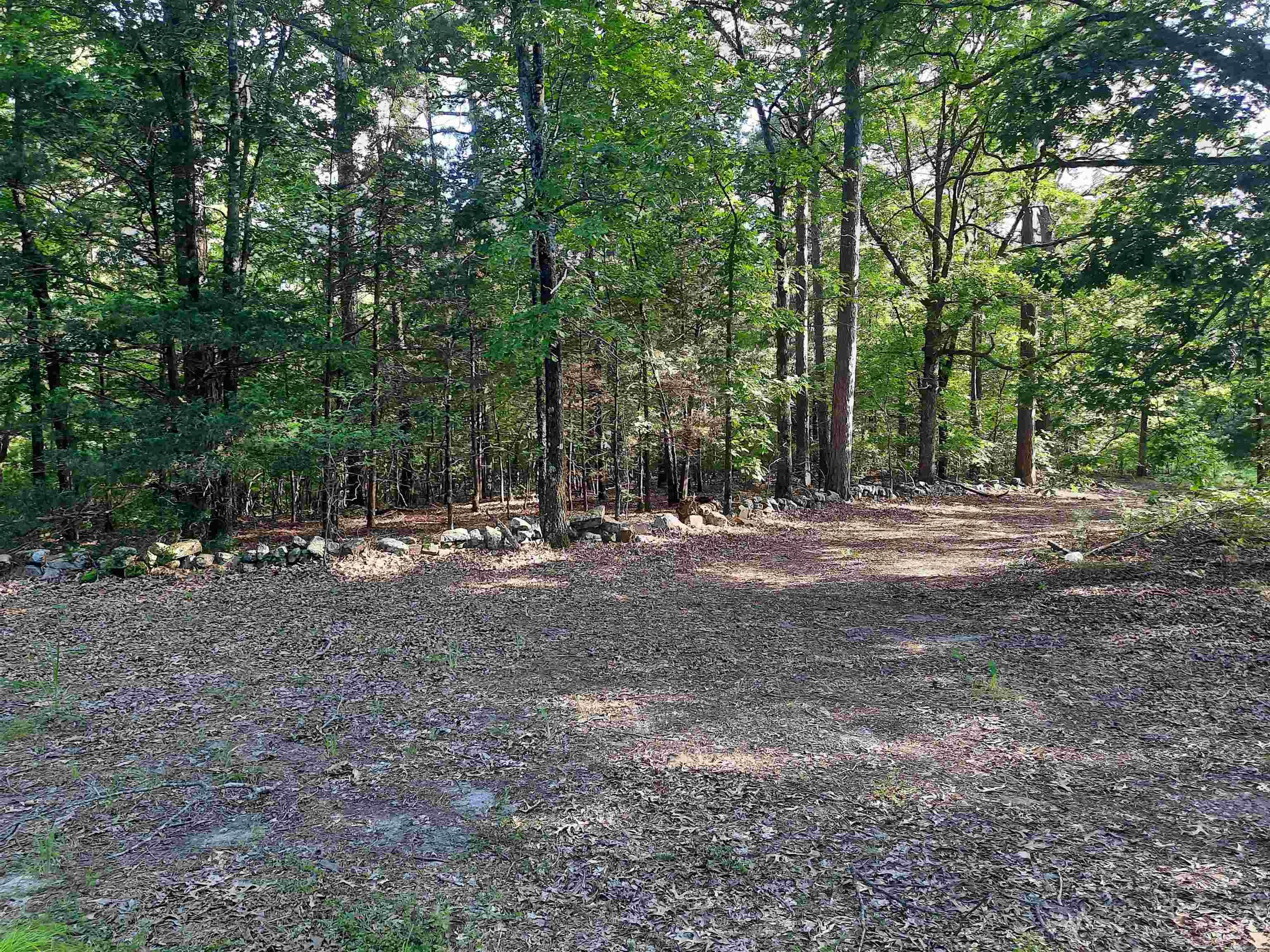 400 Wolfking  Mountain View, AR