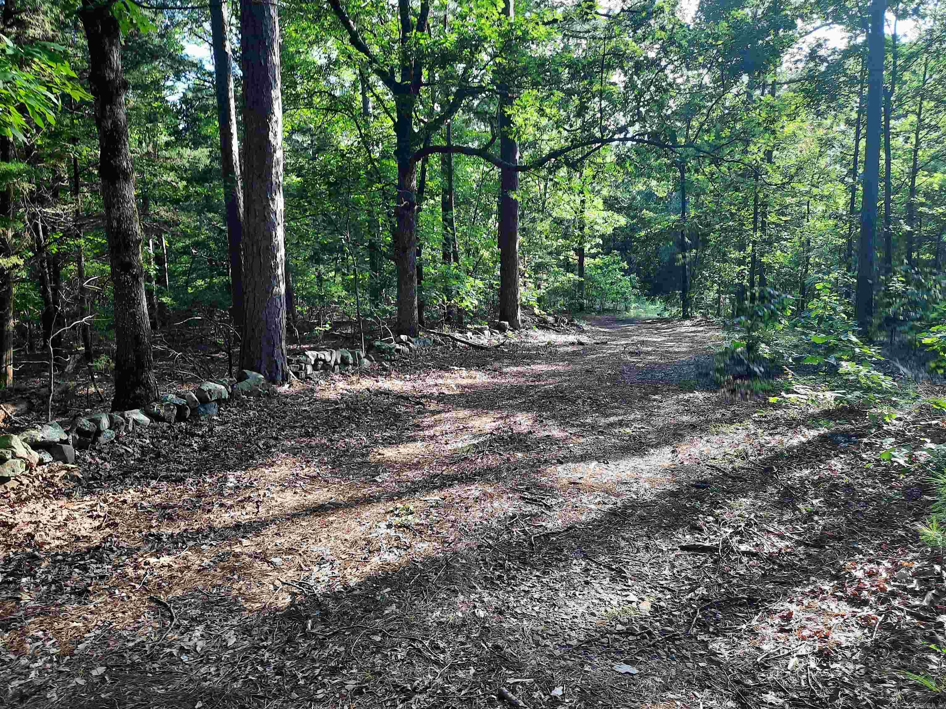 400 Wolfking  Mountain View, AR