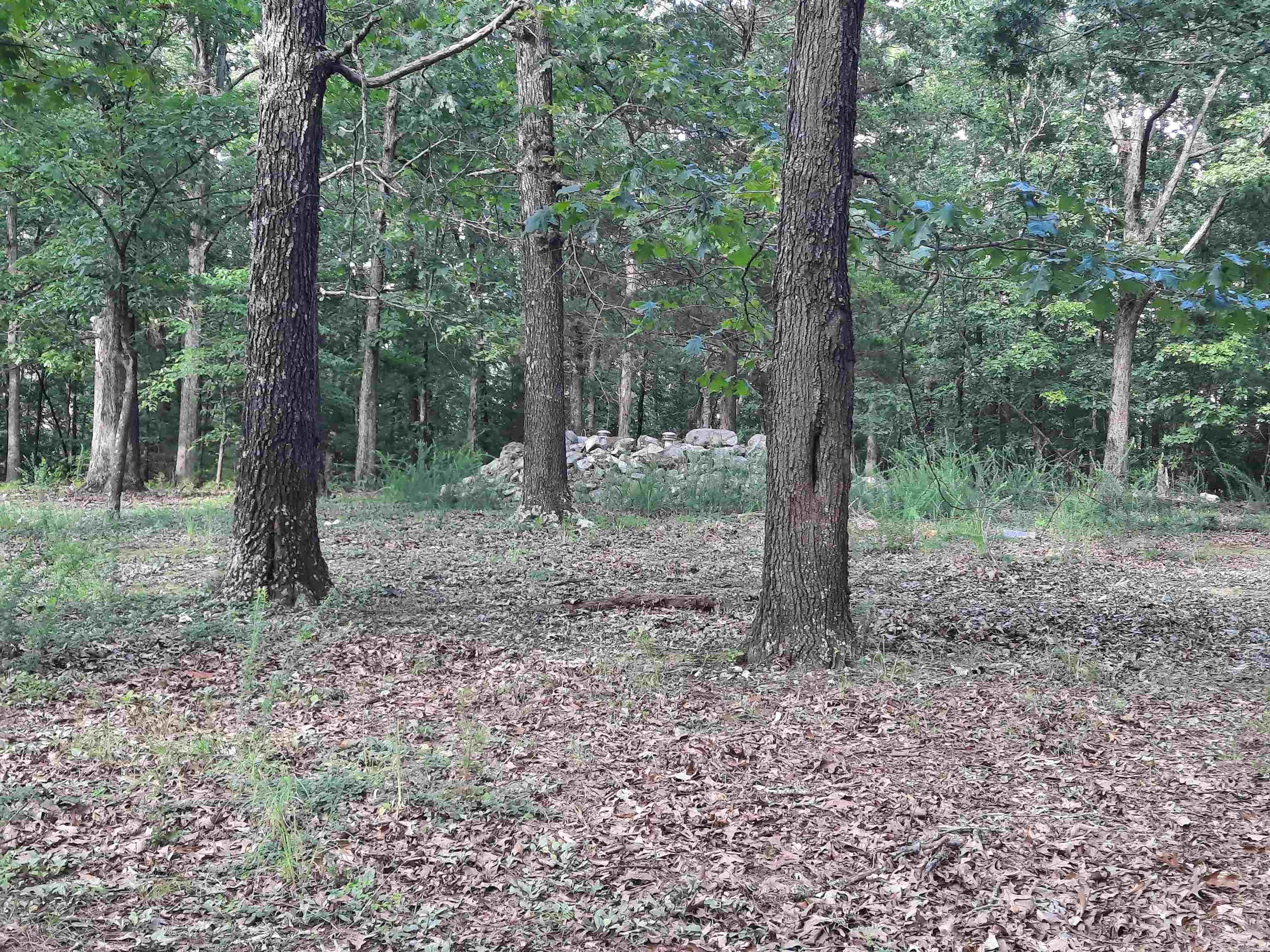 400 Wolfking  Mountain View, AR