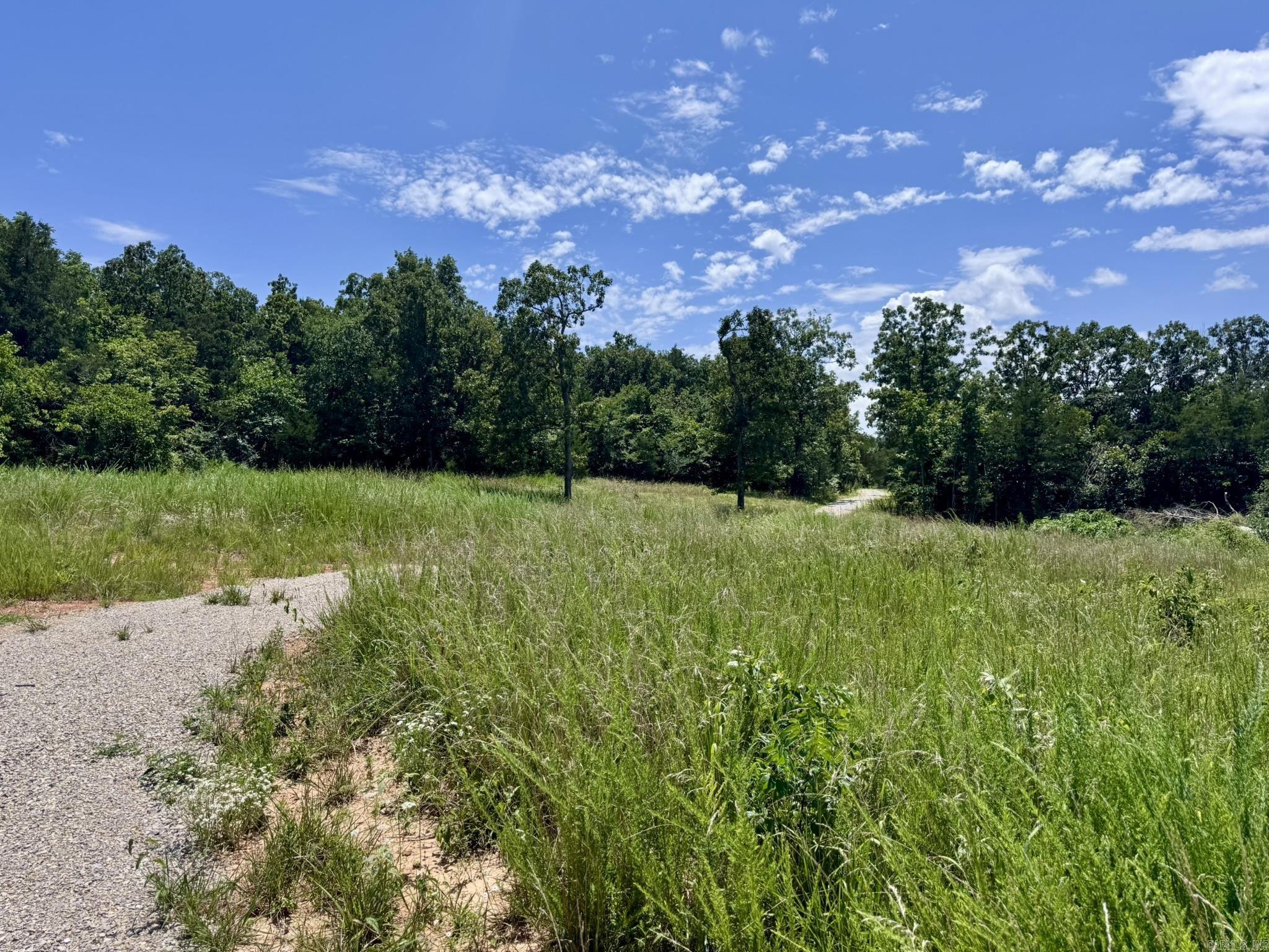 38A Honeysuckle Lane  Wiseman, AR