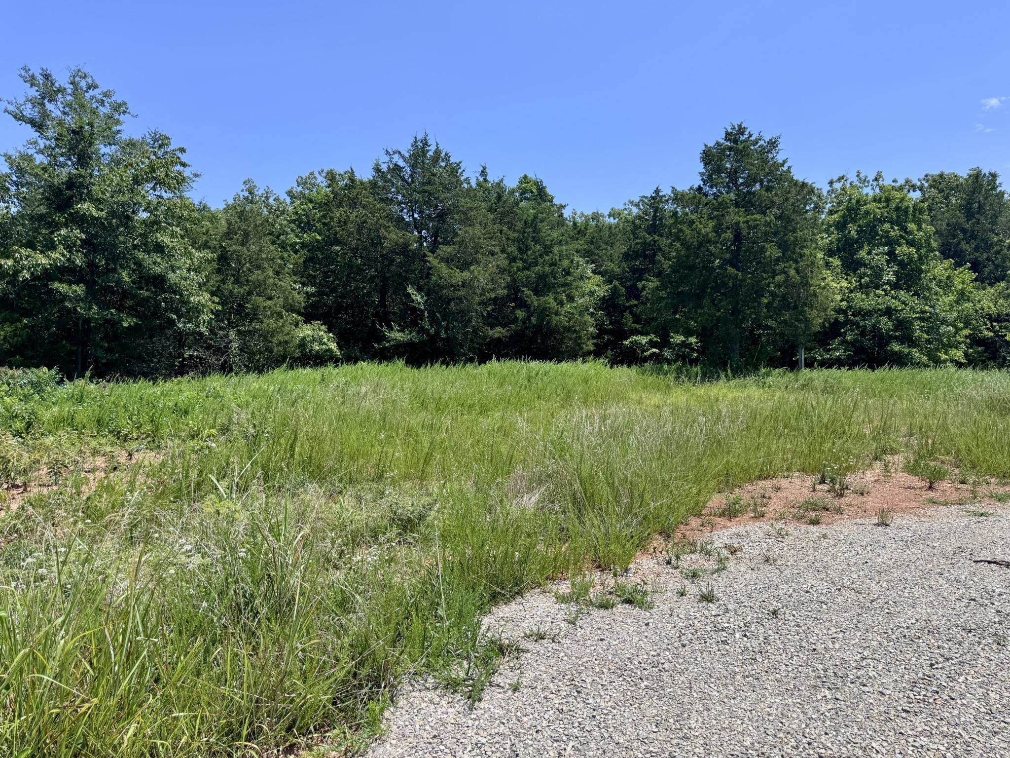 38A Honeysuckle Lane  Wiseman, AR