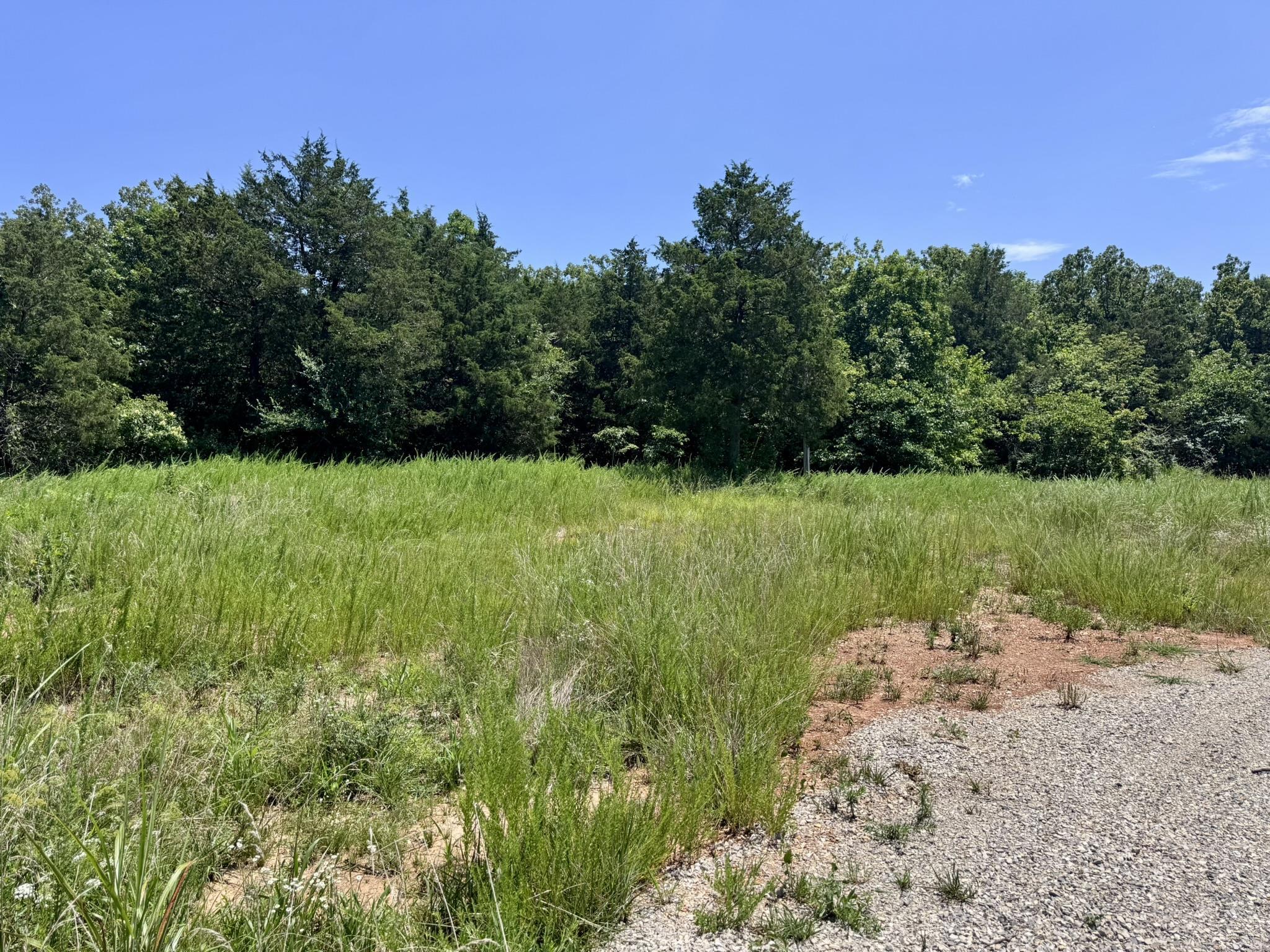 38A Honeysuckle Lane  Wiseman, AR