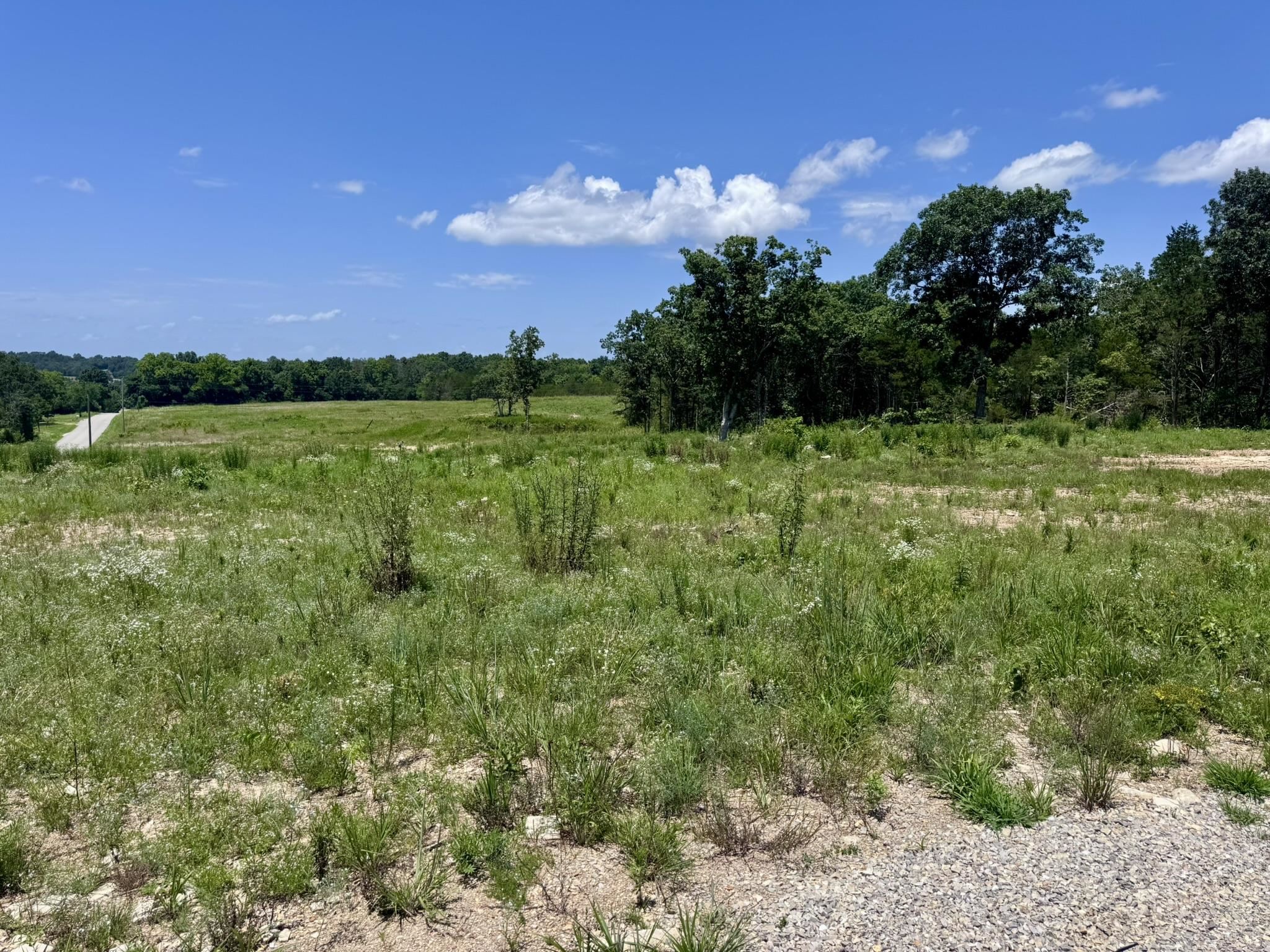 38A Honeysuckle Lane  Wiseman, AR