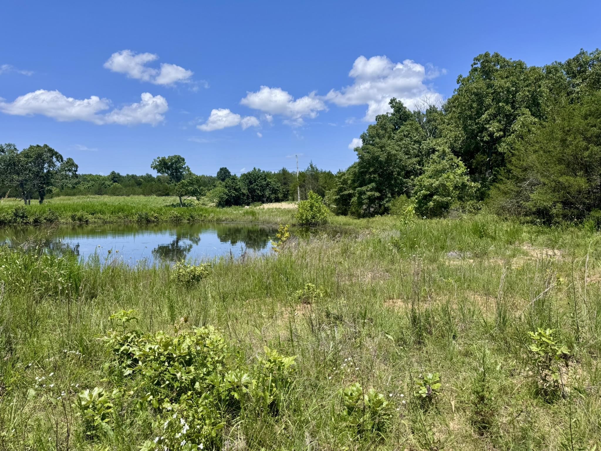 38A Honeysuckle Lane  Wiseman, AR