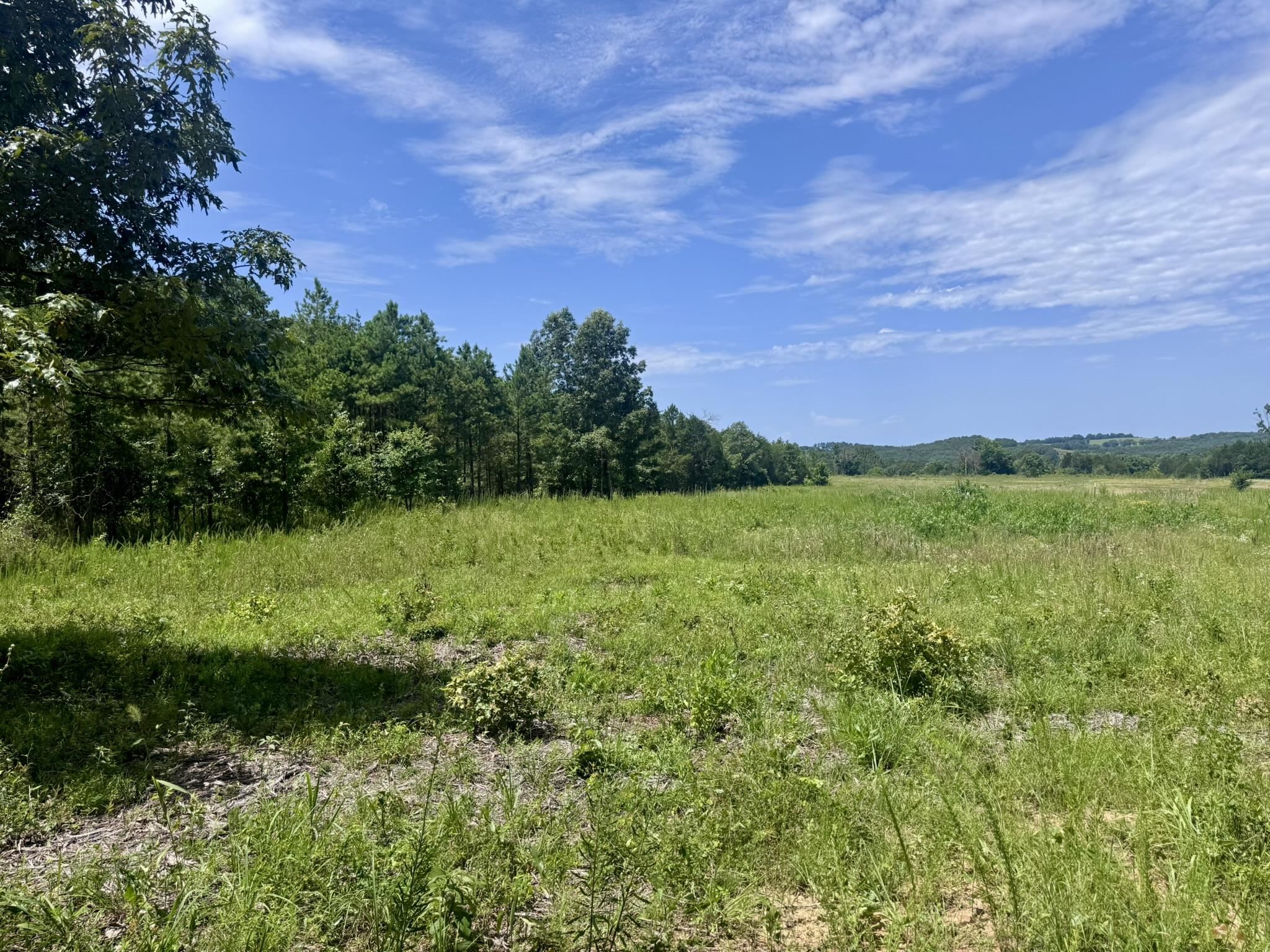 38A Honeysuckle Lane  Wiseman, AR