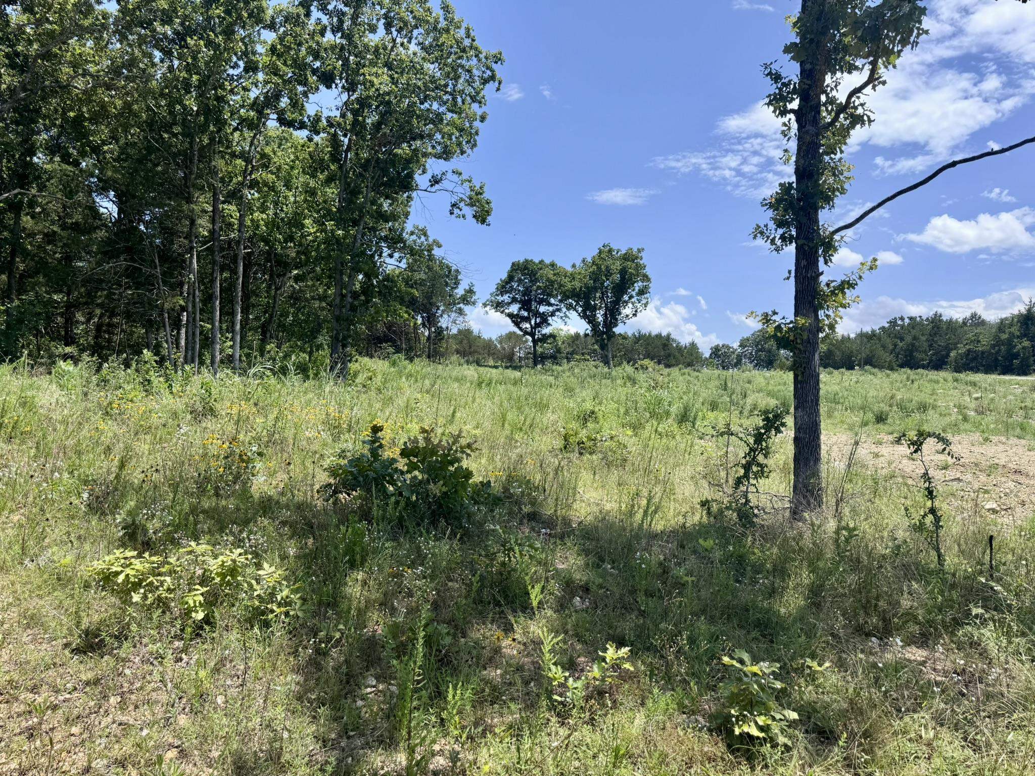 38A Honeysuckle Lane  Wiseman, AR