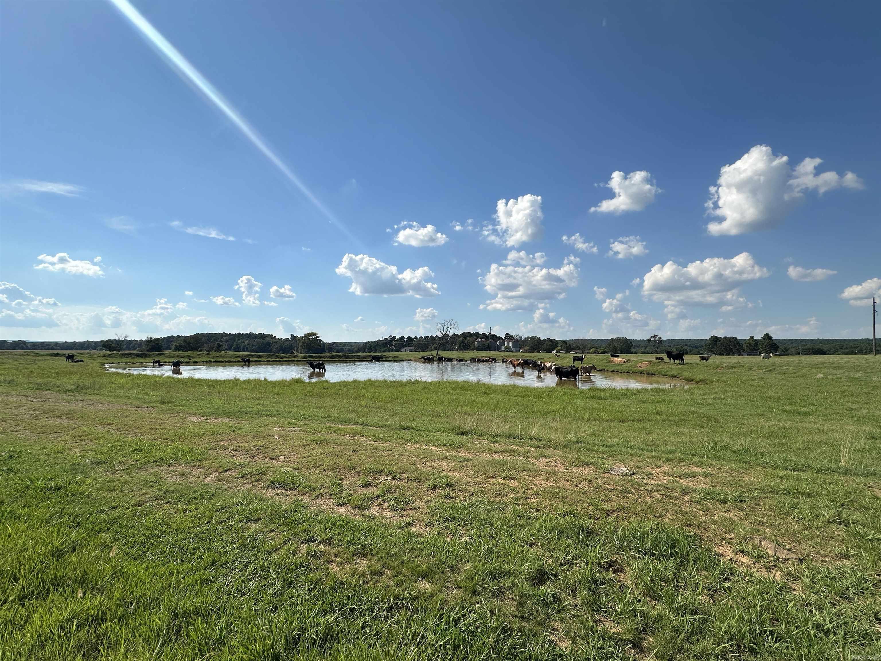 181 Lovers Lane  Bigelow, AR