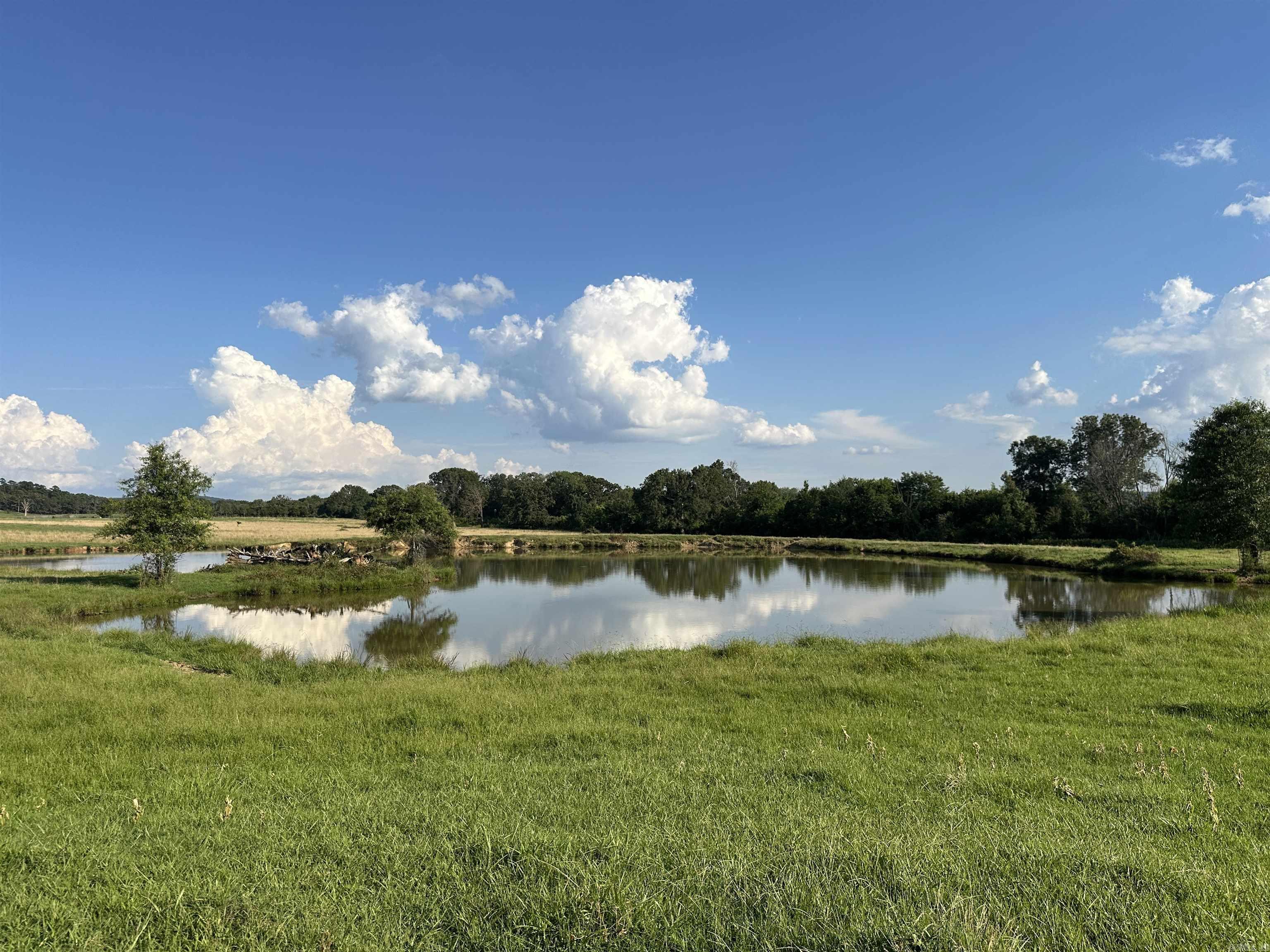 181 Lovers Lane  Bigelow, AR