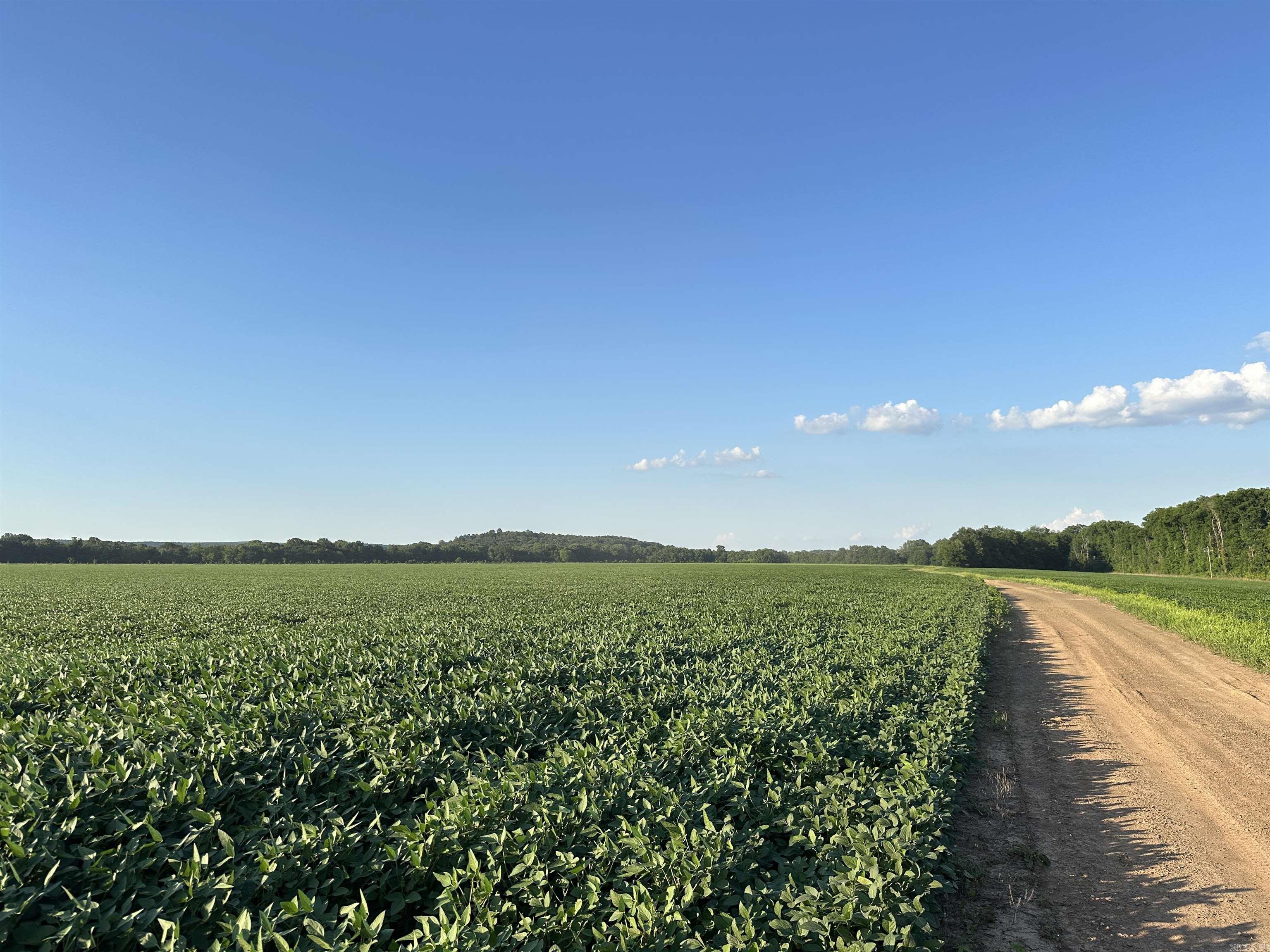 181 Lovers Lane  Bigelow, AR