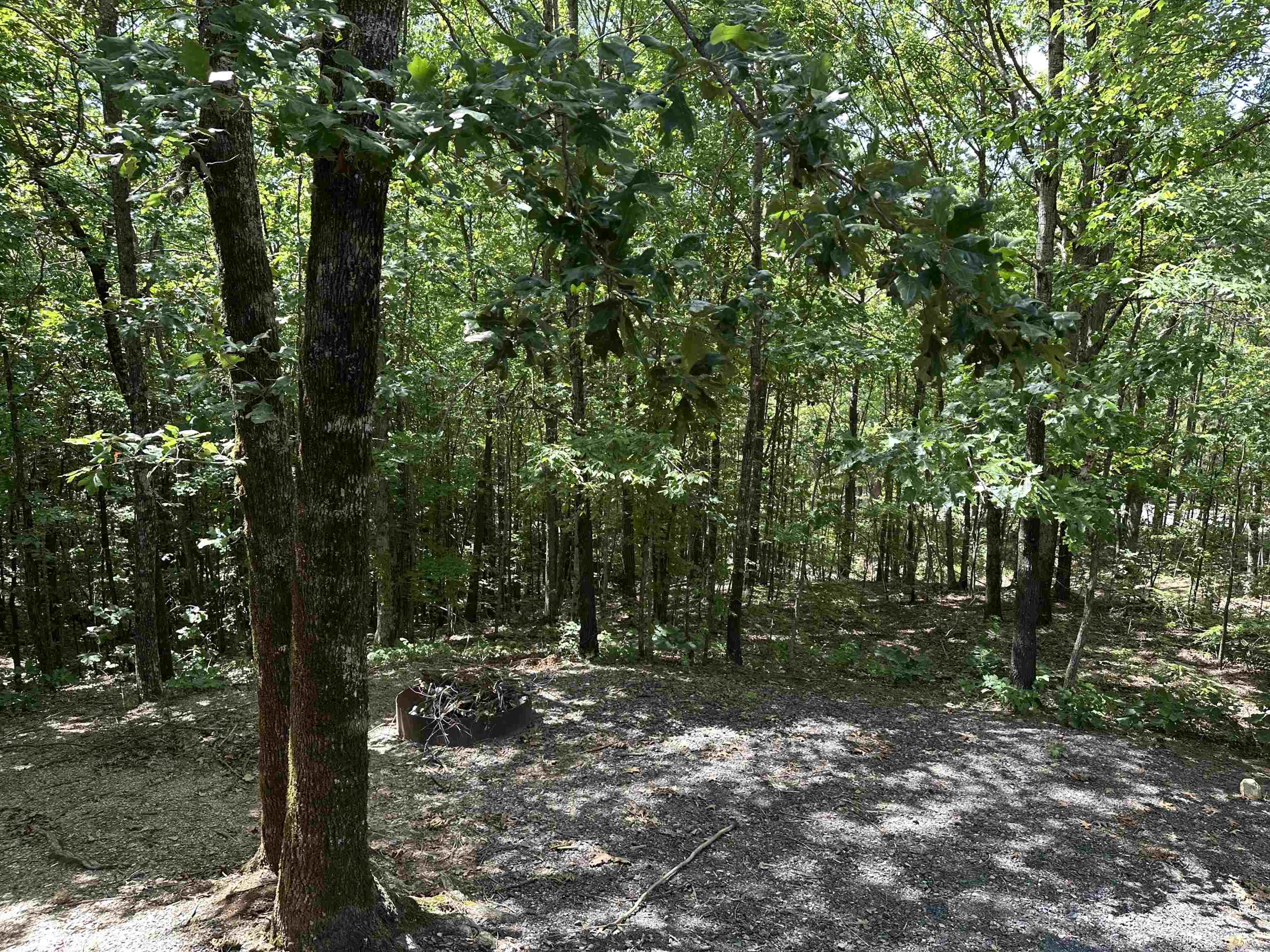 TBD Roadrunner lane  Mena, AR