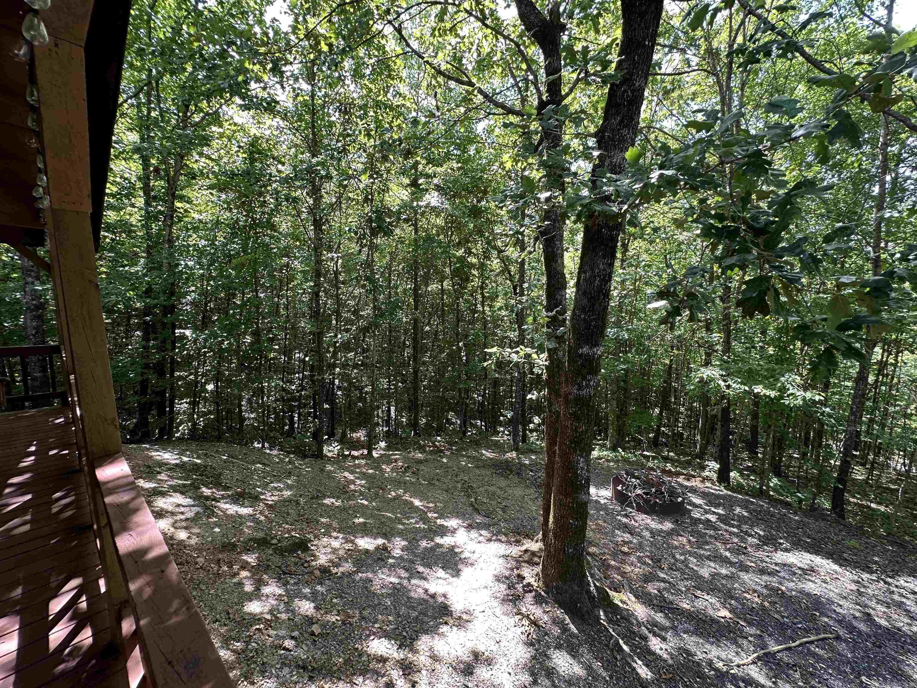 TBD Roadrunner lane  Mena, AR