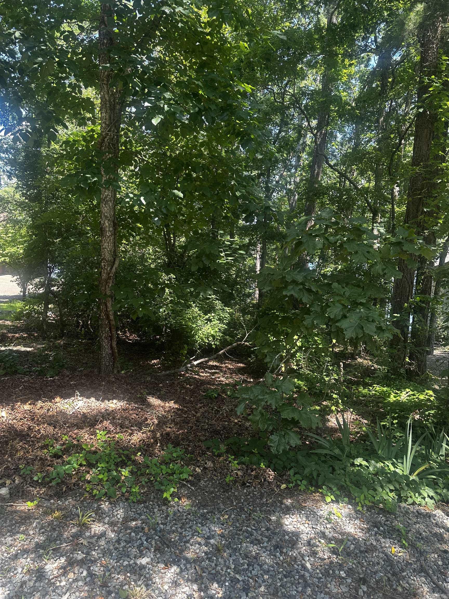 2 Otero  Hot Springs Village, AR