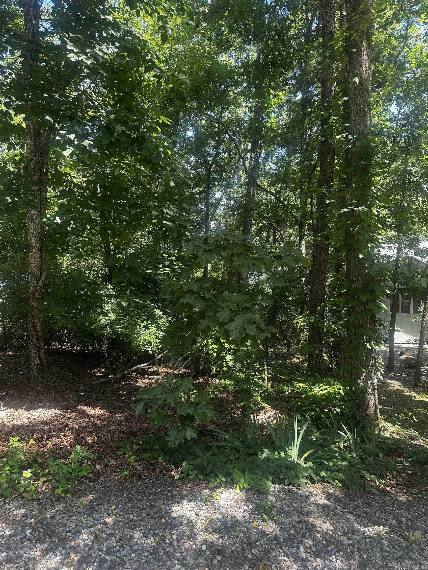 2 Otero  Hot Springs Village, AR