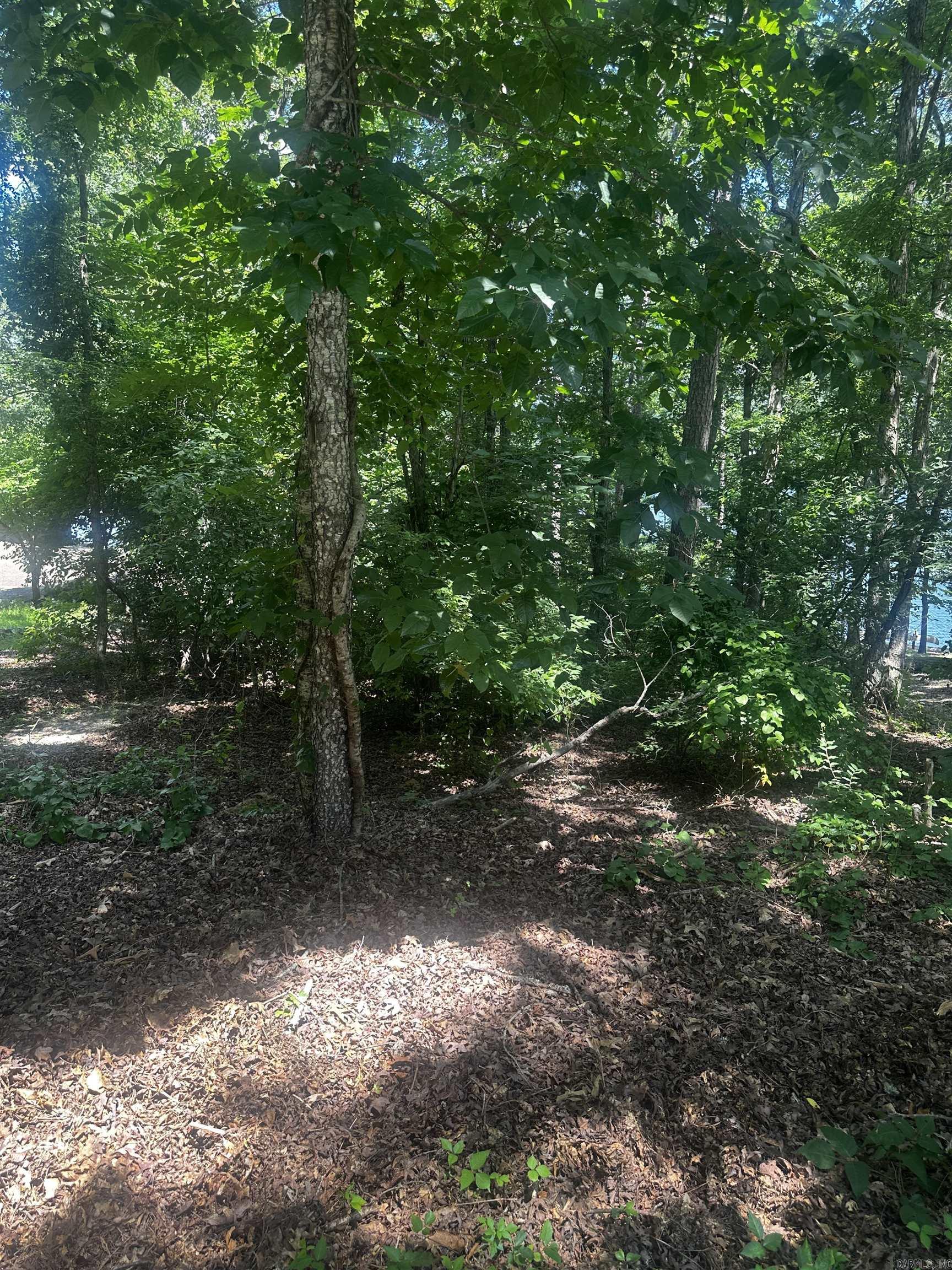 2 Otero  Hot Springs Village, AR