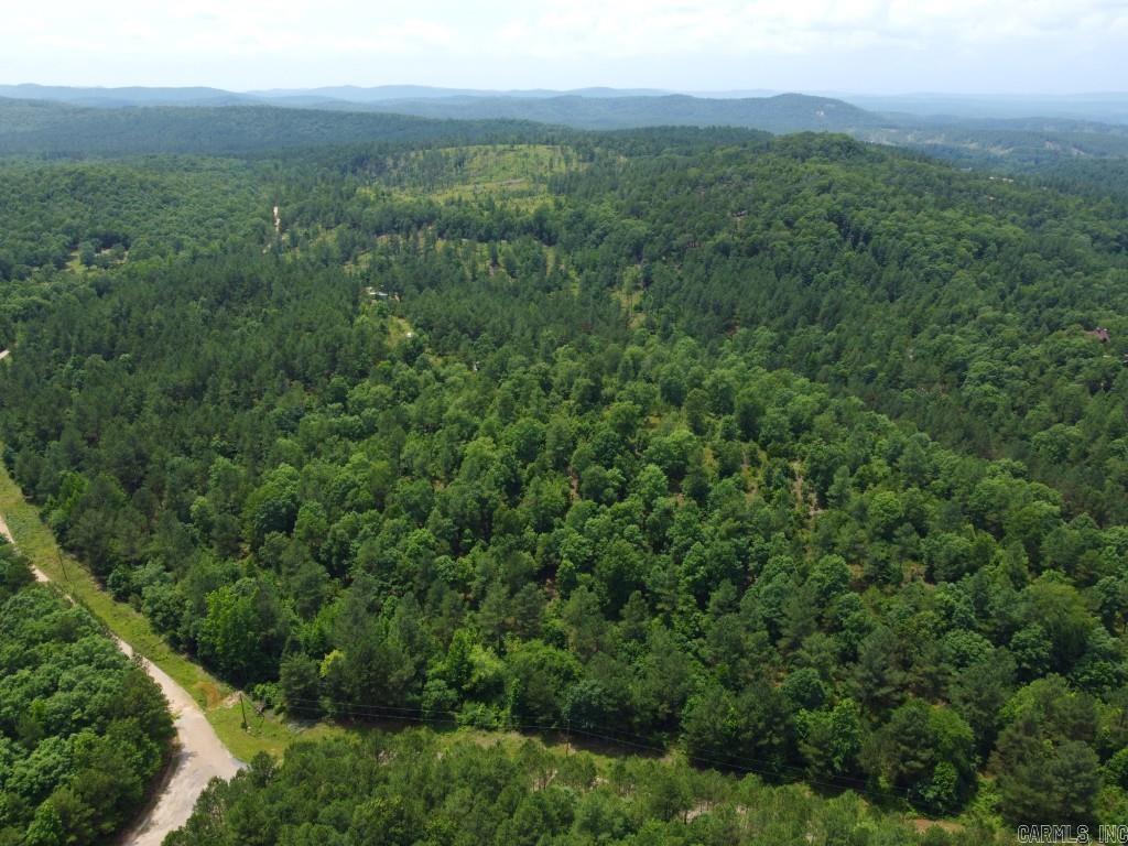 2245 Cedar Creek  Hot Springs Village, AR
