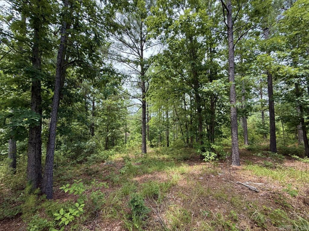 2245 Cedar Creek  Hot Springs Village, AR