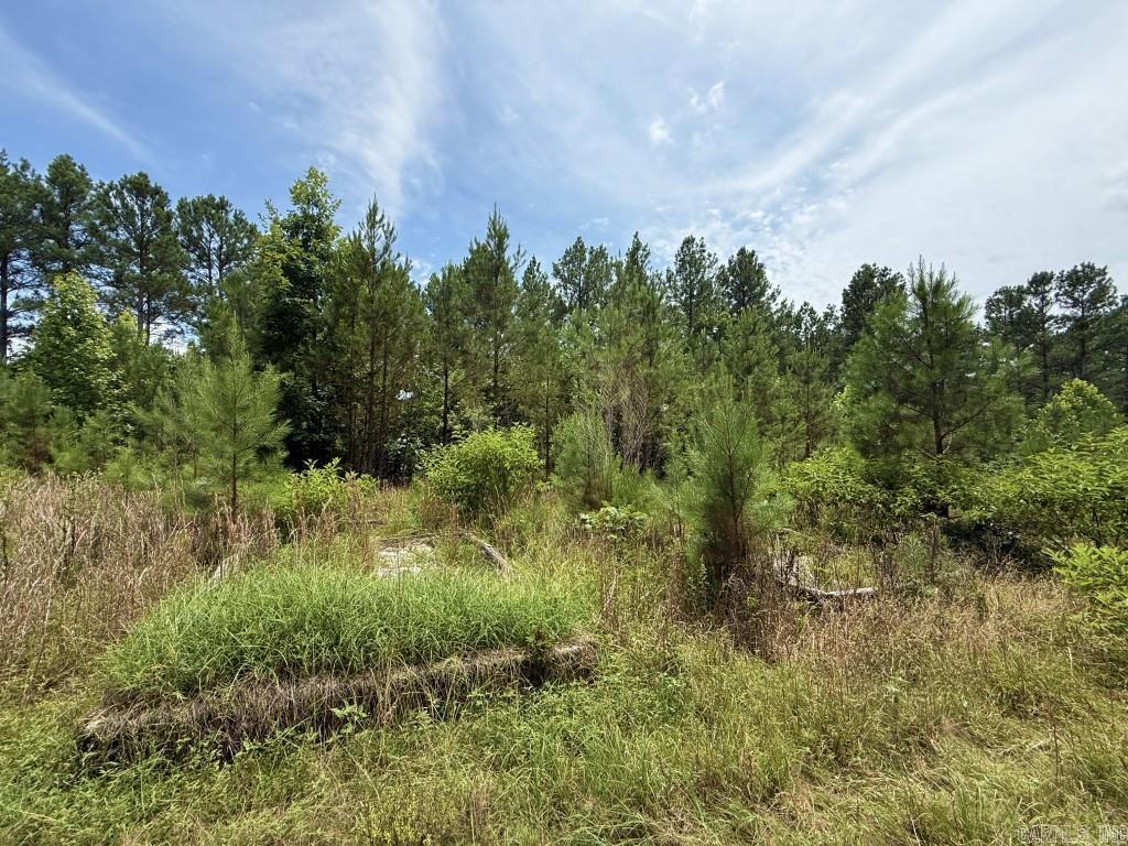 2245 Cedar Creek  Hot Springs Village, AR