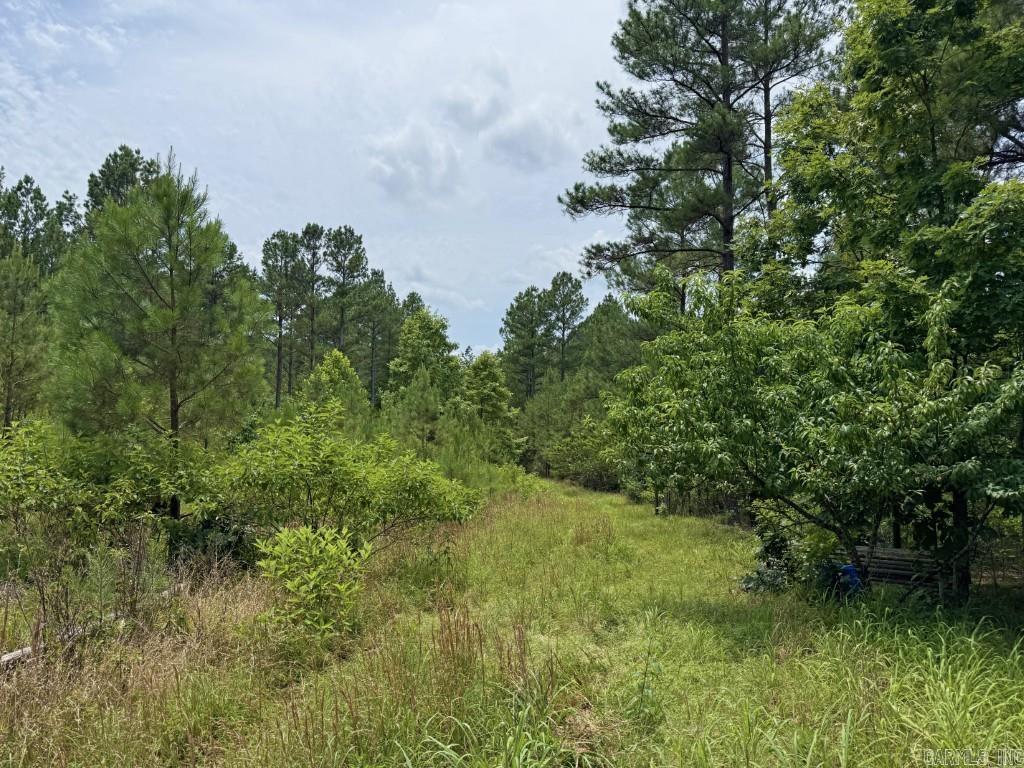 2245 Cedar Creek  Hot Springs Village, AR
