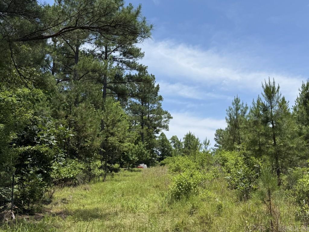 2245 Cedar Creek  Hot Springs Village, AR