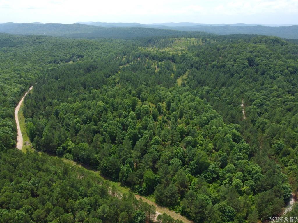 2245 Cedar Creek  Hot Springs Village, AR