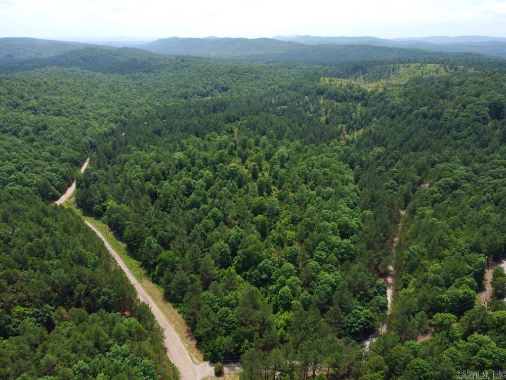 2245 Cedar Creek  Hot Springs Village, AR