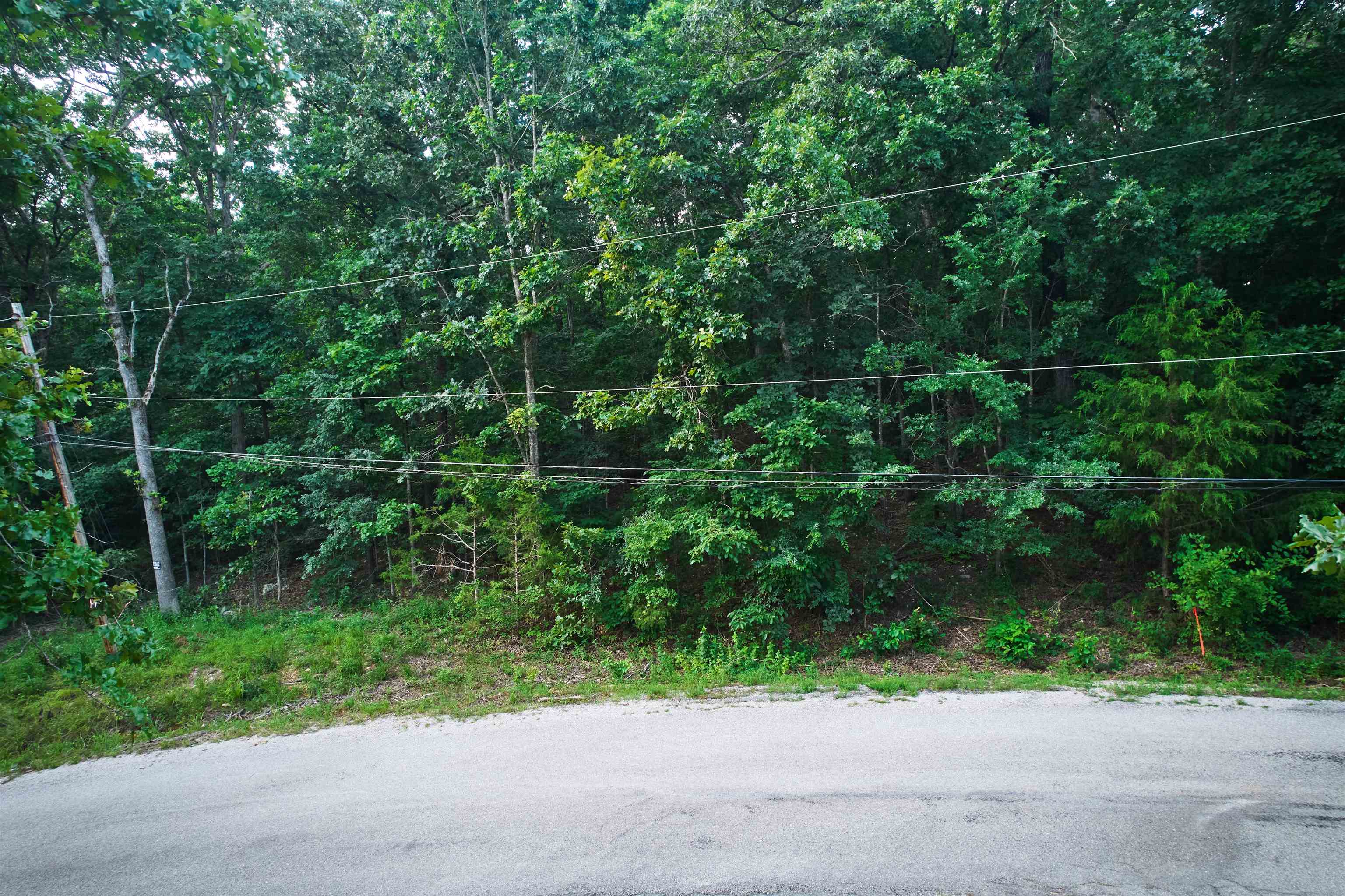 00 Robin Hood Lane  Hardy, AR