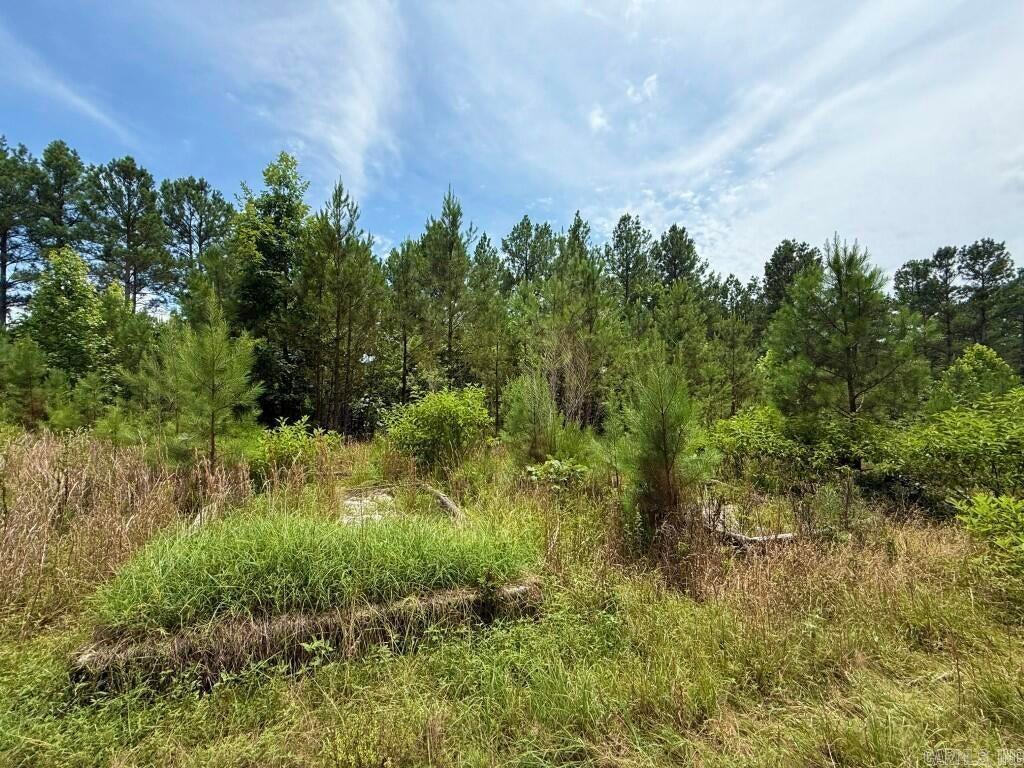 2245 Cedar Creek  Hot Springs, AR