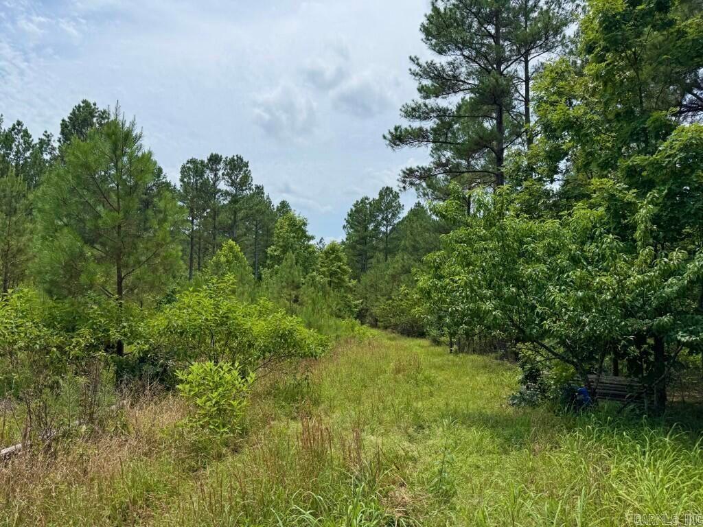 2245 Cedar Creek  Hot Springs, AR