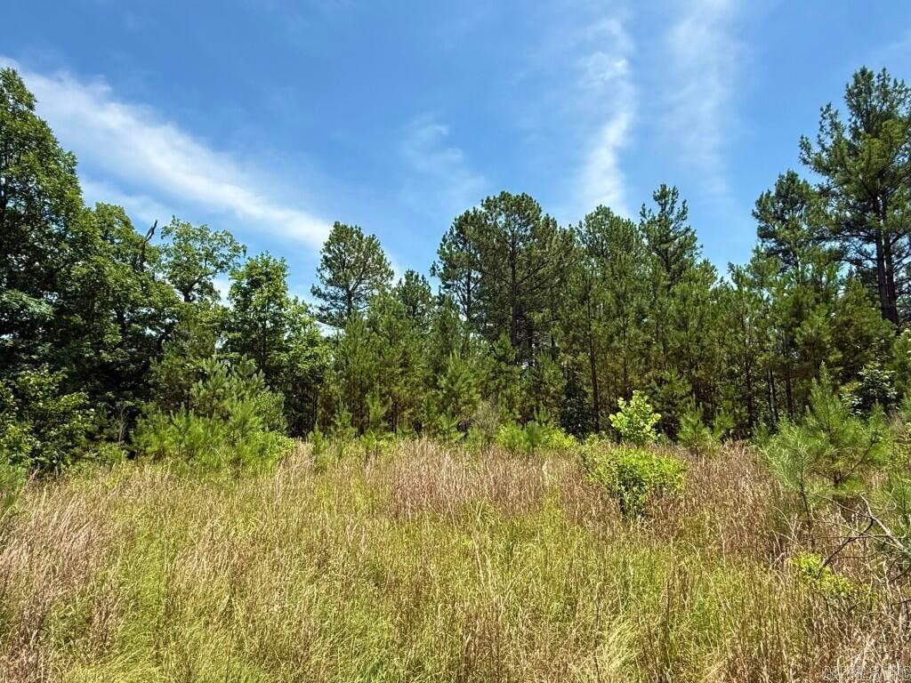 2245 Cedar Creek  Hot Springs, AR