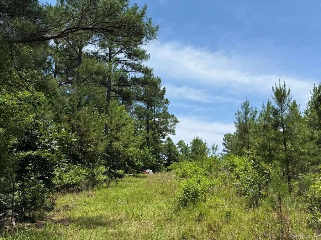 2245 Cedar Creek  Hot Springs, AR