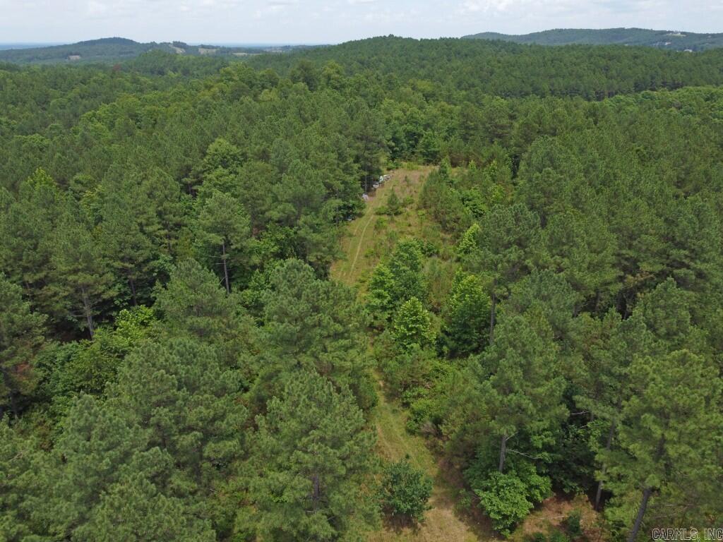 2245 Cedar Creek  Hot Springs, AR