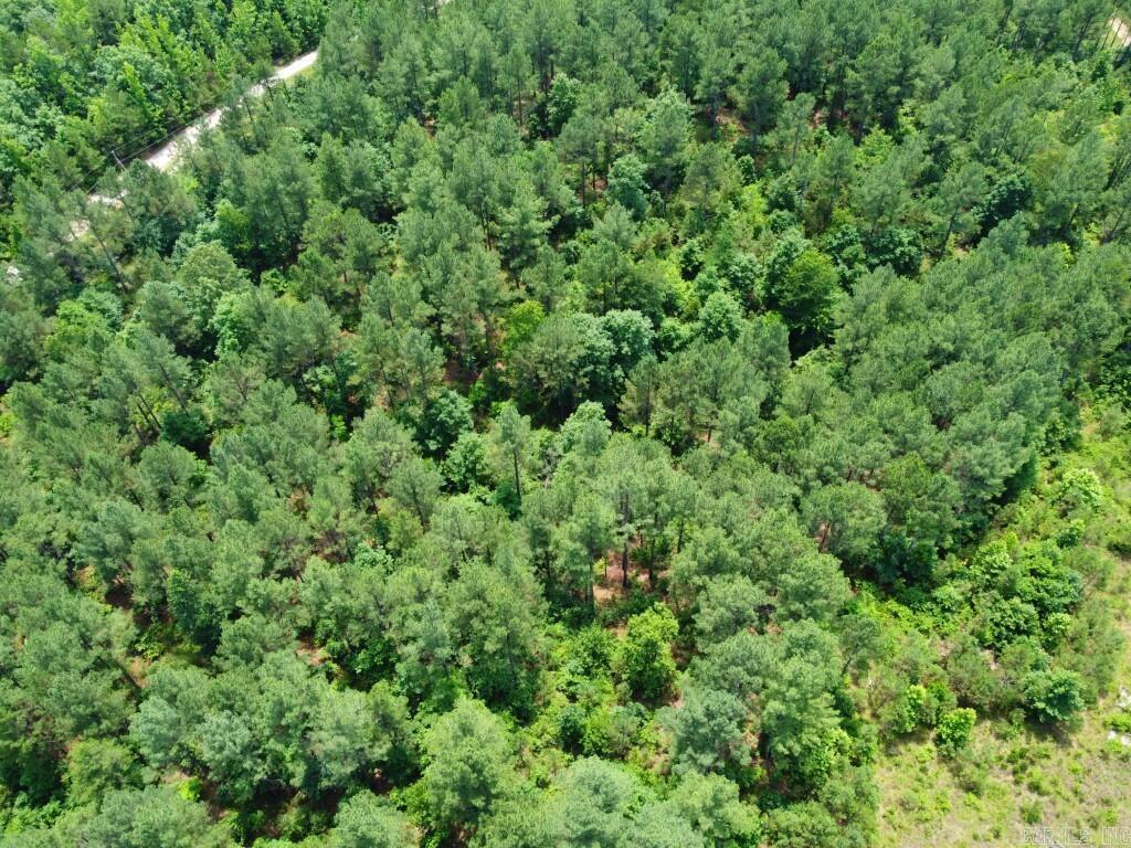 2245 Cedar Creek  Hot Springs, AR