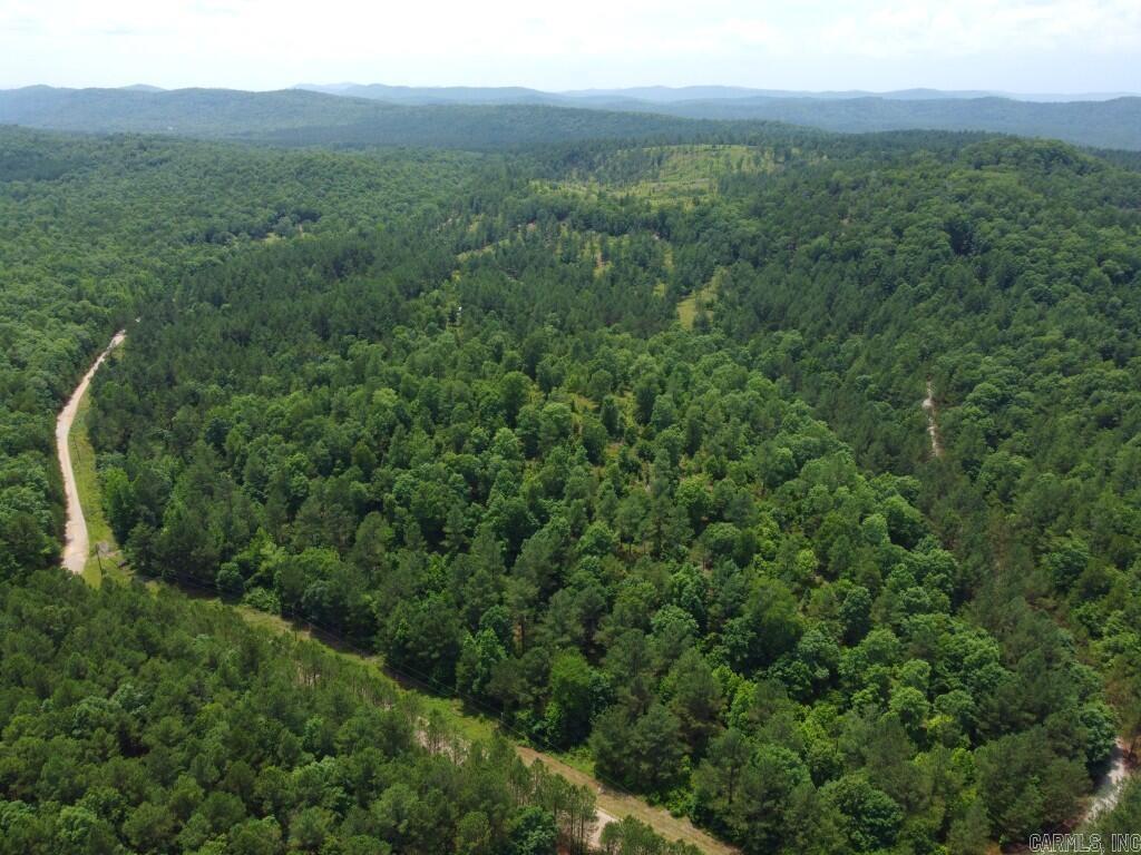 2245 Cedar Creek  Hot Springs, AR