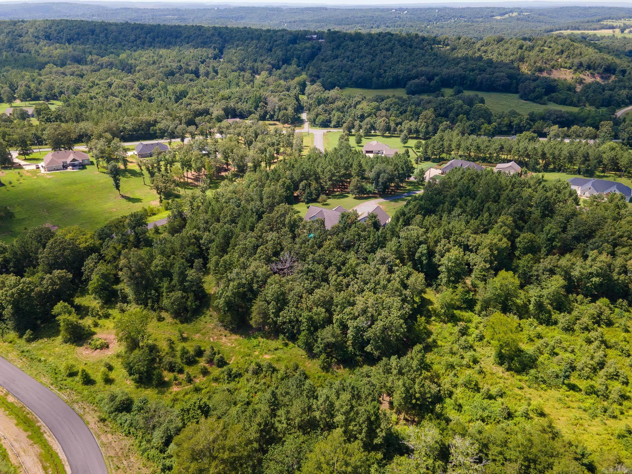 10 Panther Run  Greenbrier, AR