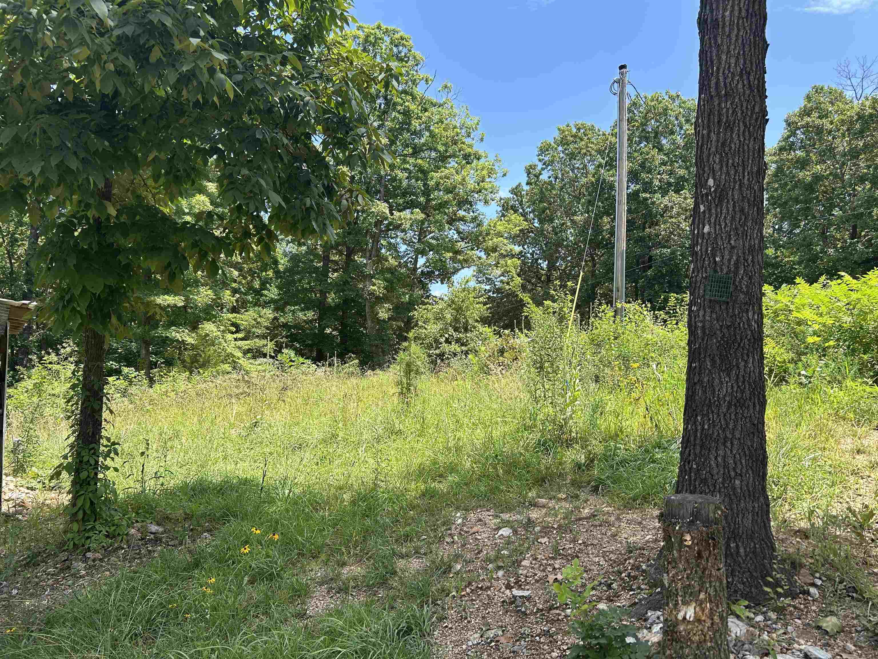 58 Timber Ridge Rd.  Mammoth Spring, AR