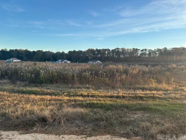 1033 Duke  Bauxite, AR