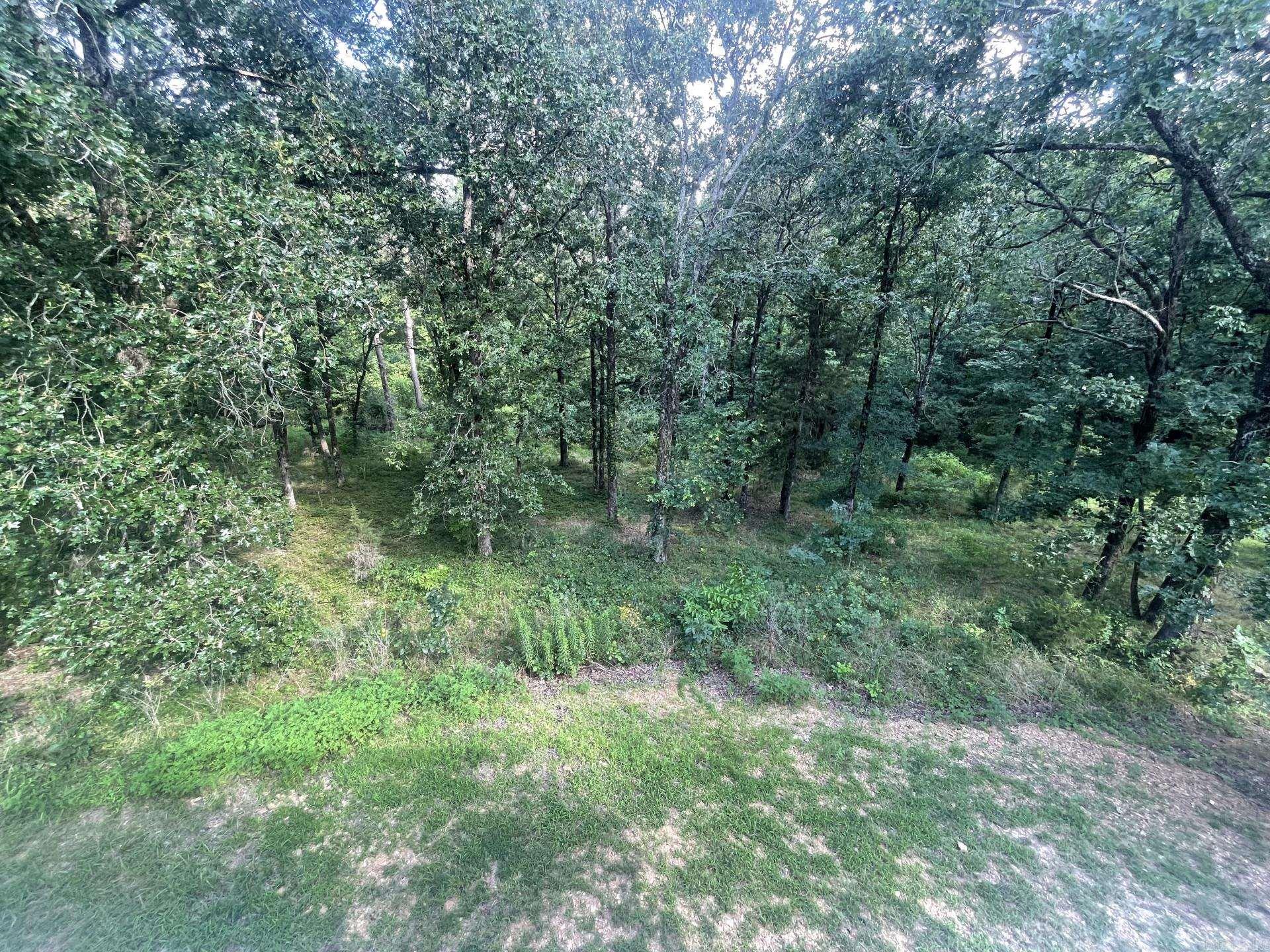 4901 Donnell Ridge  Conway, AR