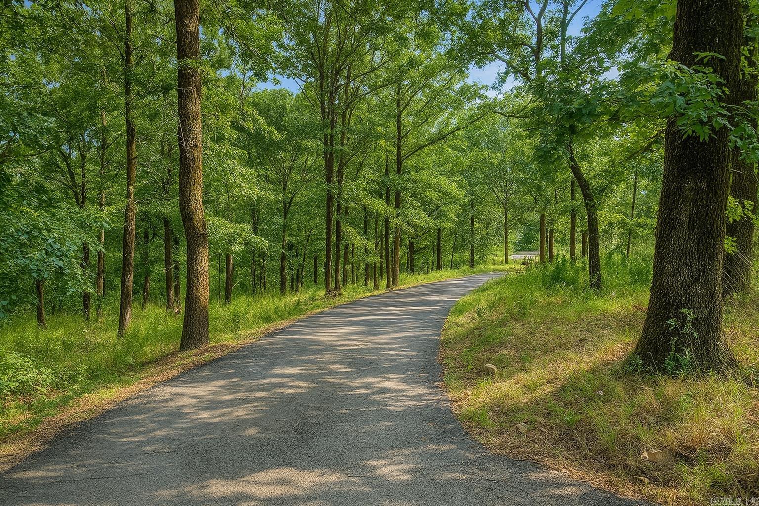 4901 Donnell Ridge  Conway, AR