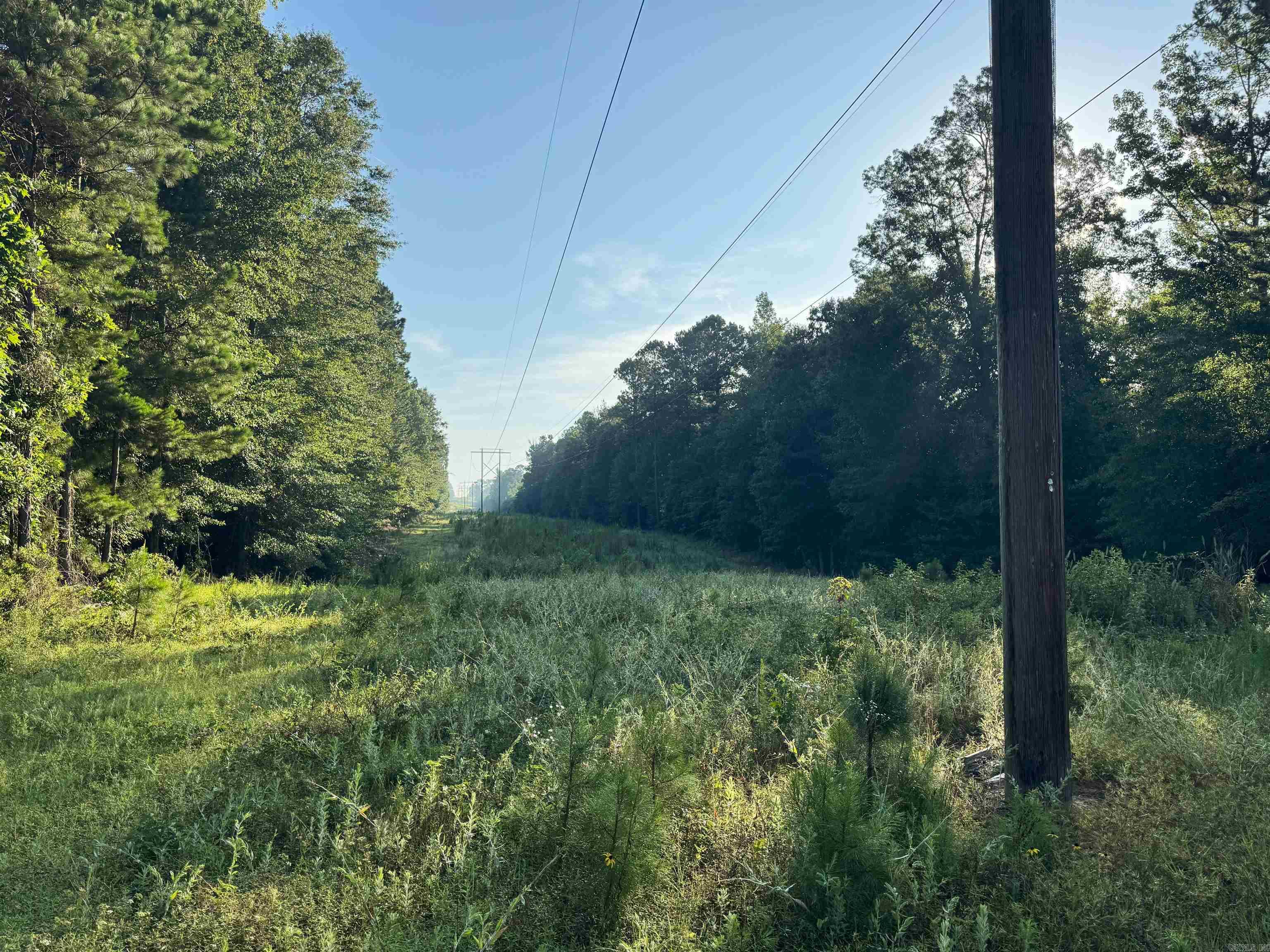 000 Mt Willow rd  Malvern, AR