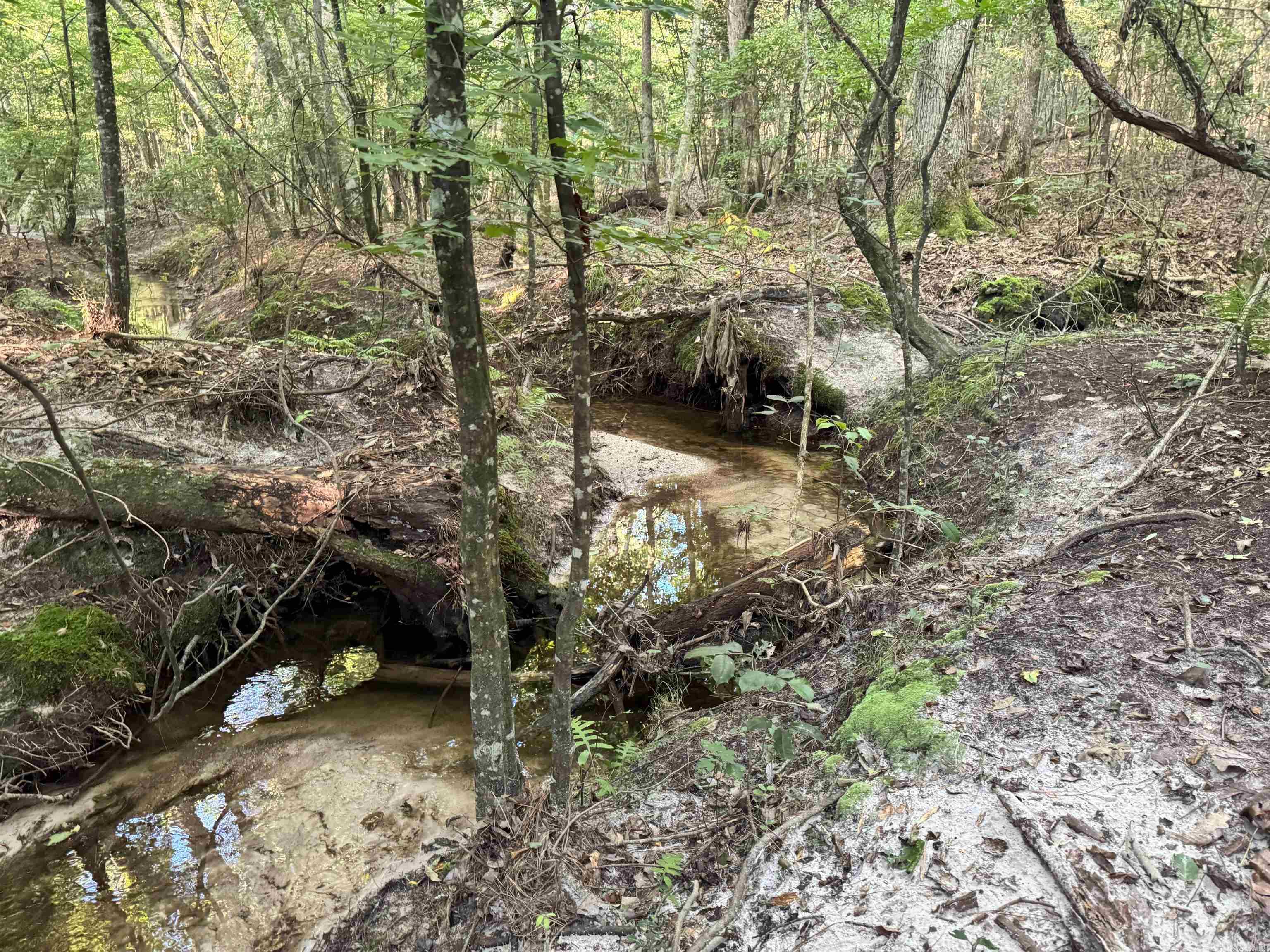 000 Mt Willow rd  Malvern, AR