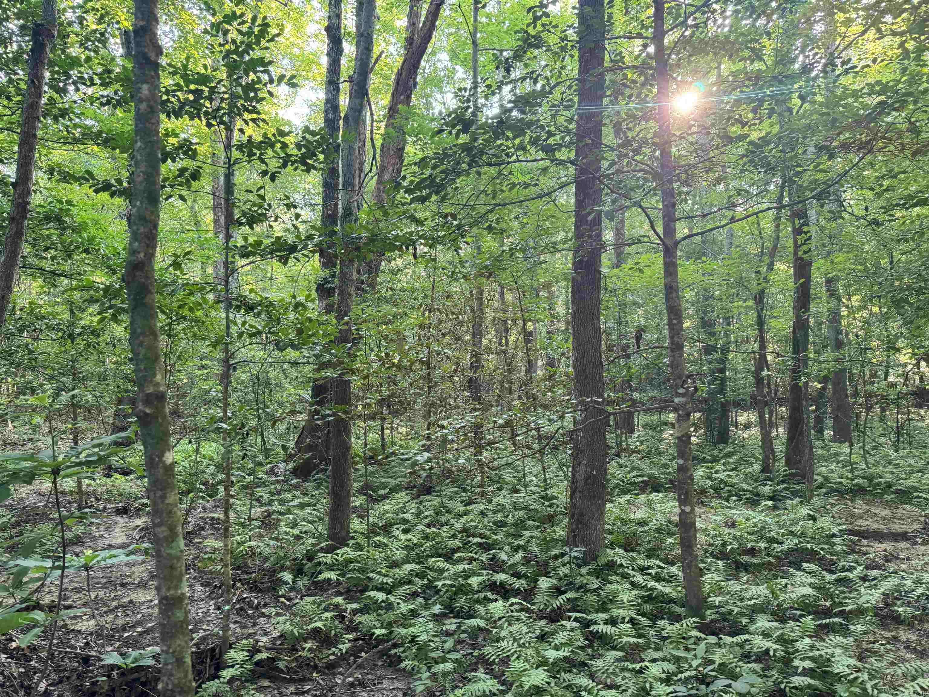 000 Mt Willow rd  Malvern, AR