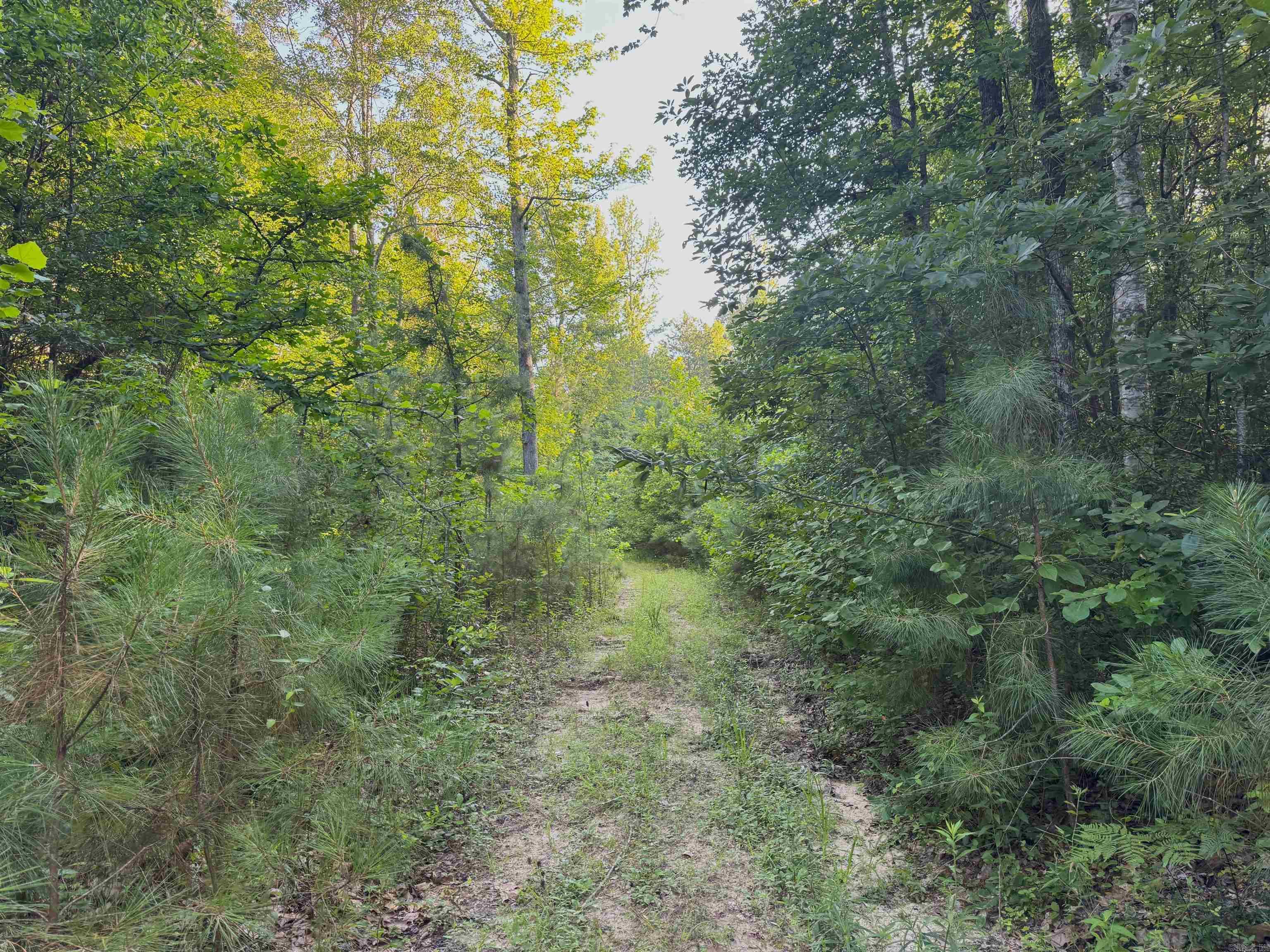 000 Mt Willow rd  Malvern, AR