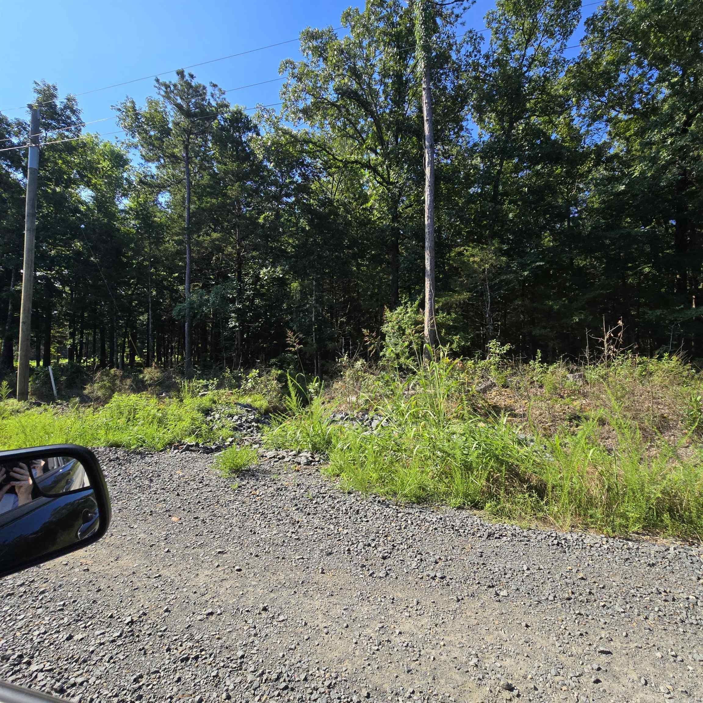  Red Fox  Greers Ferry, AR