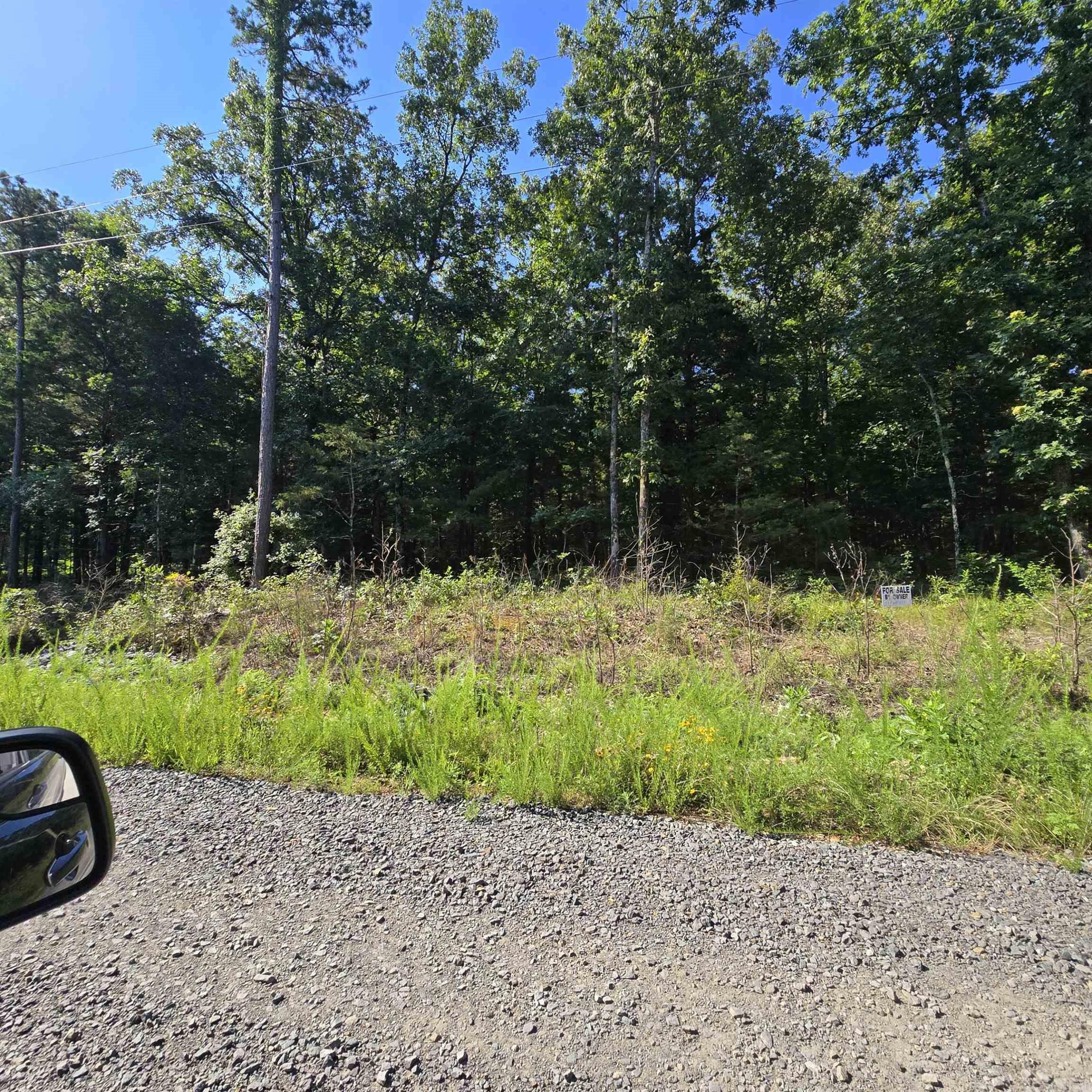  Red Fox  Greers Ferry, AR