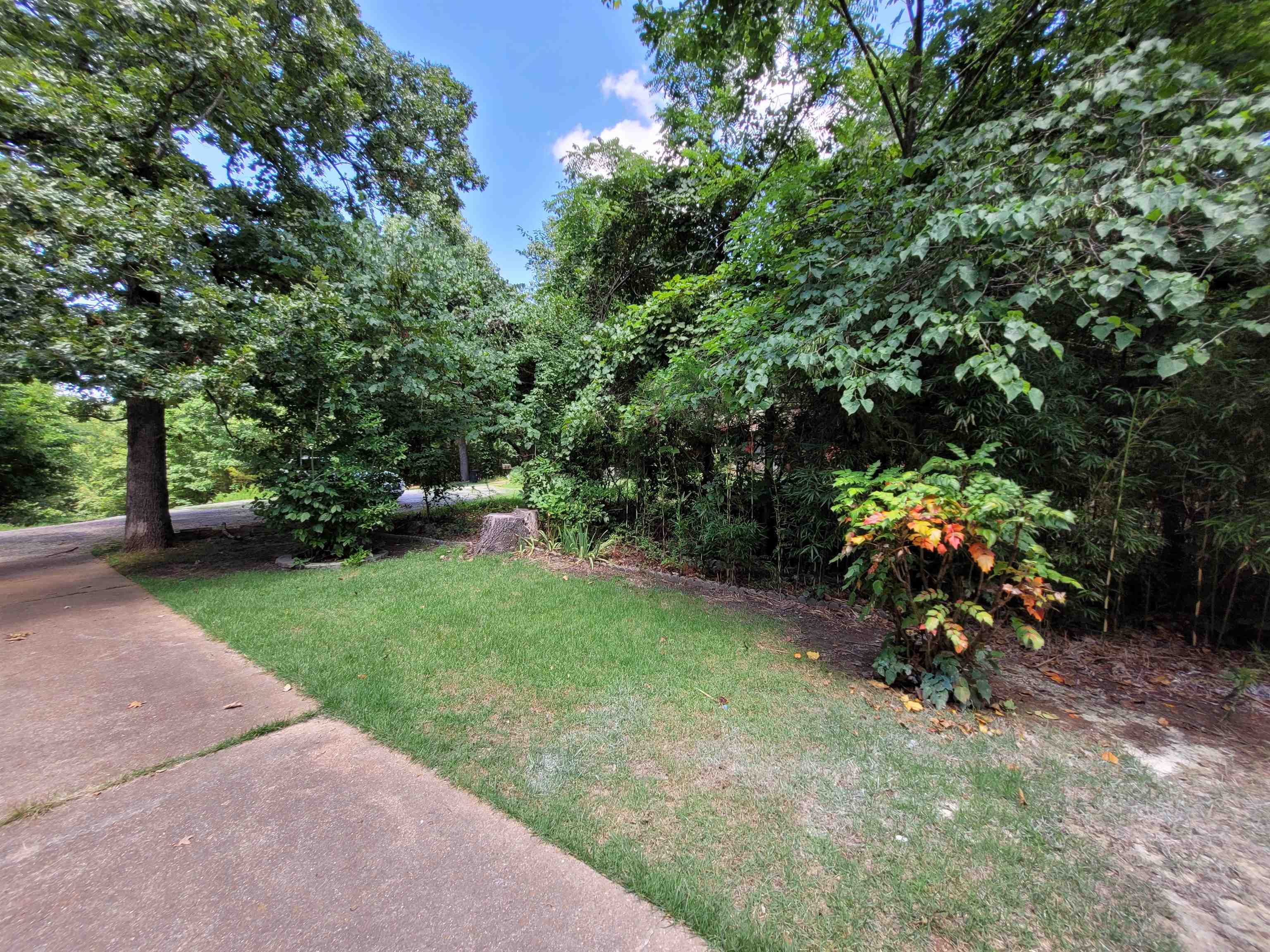 1607 Riverview Circle  Horseshoe Bend, AR