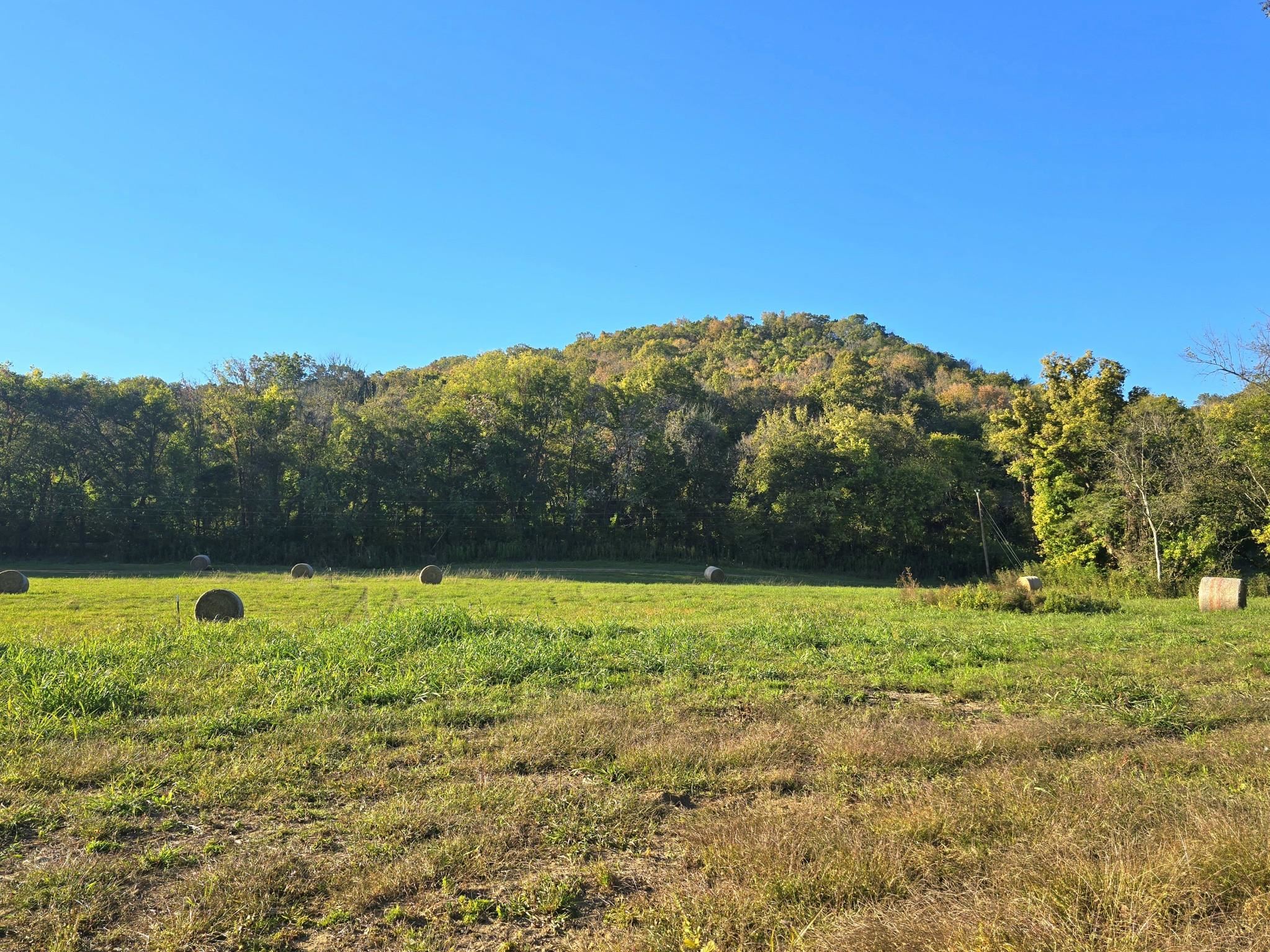 TBD W School House Hollow Road  Melbourne, AR