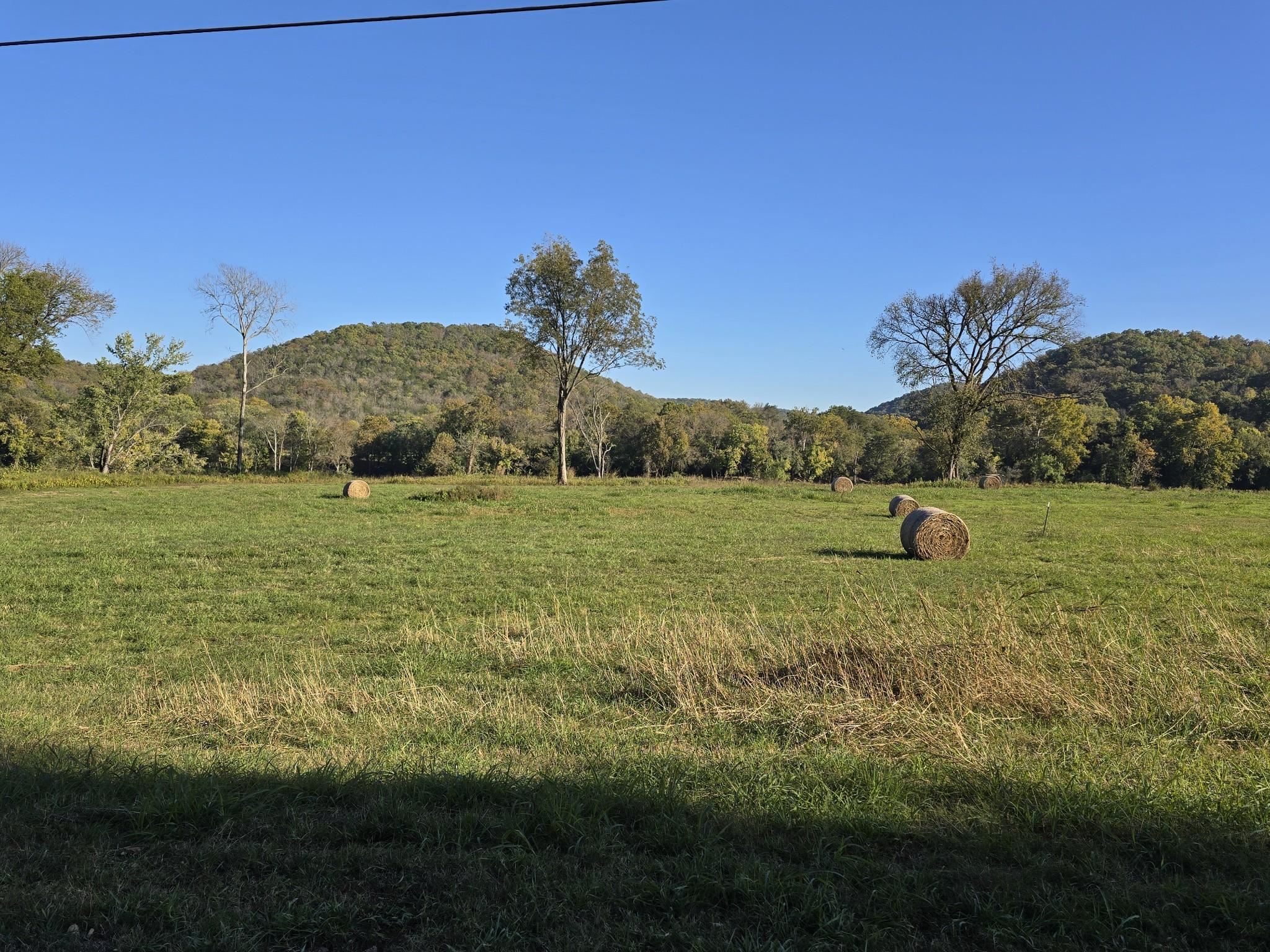 TBD W School House Hollow Road  Melbourne, AR