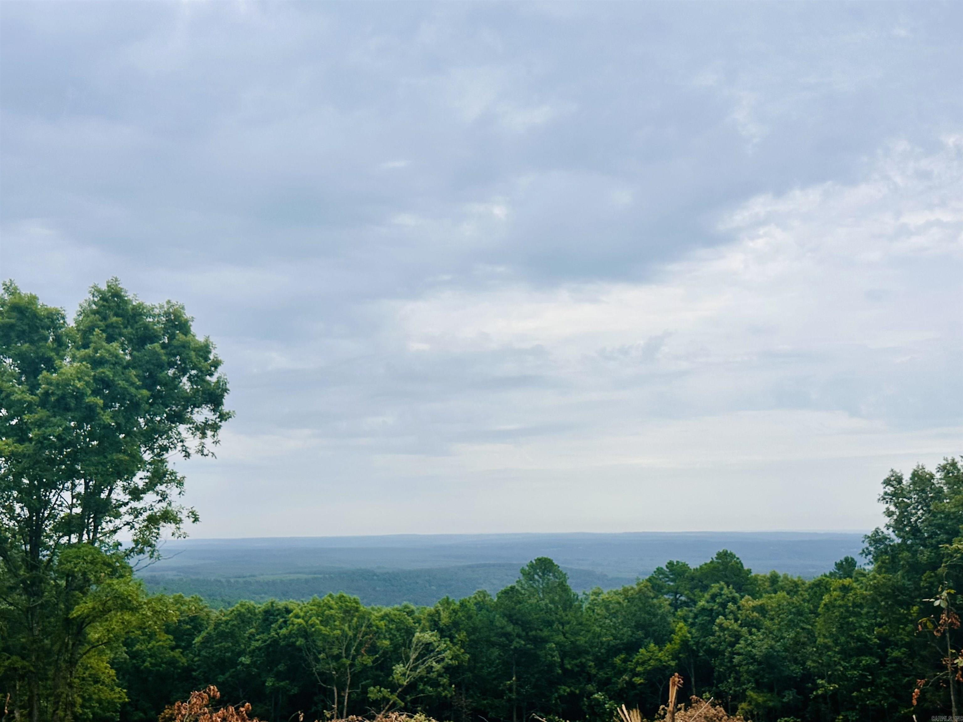 000 Dry Mountain  Drasco, AR