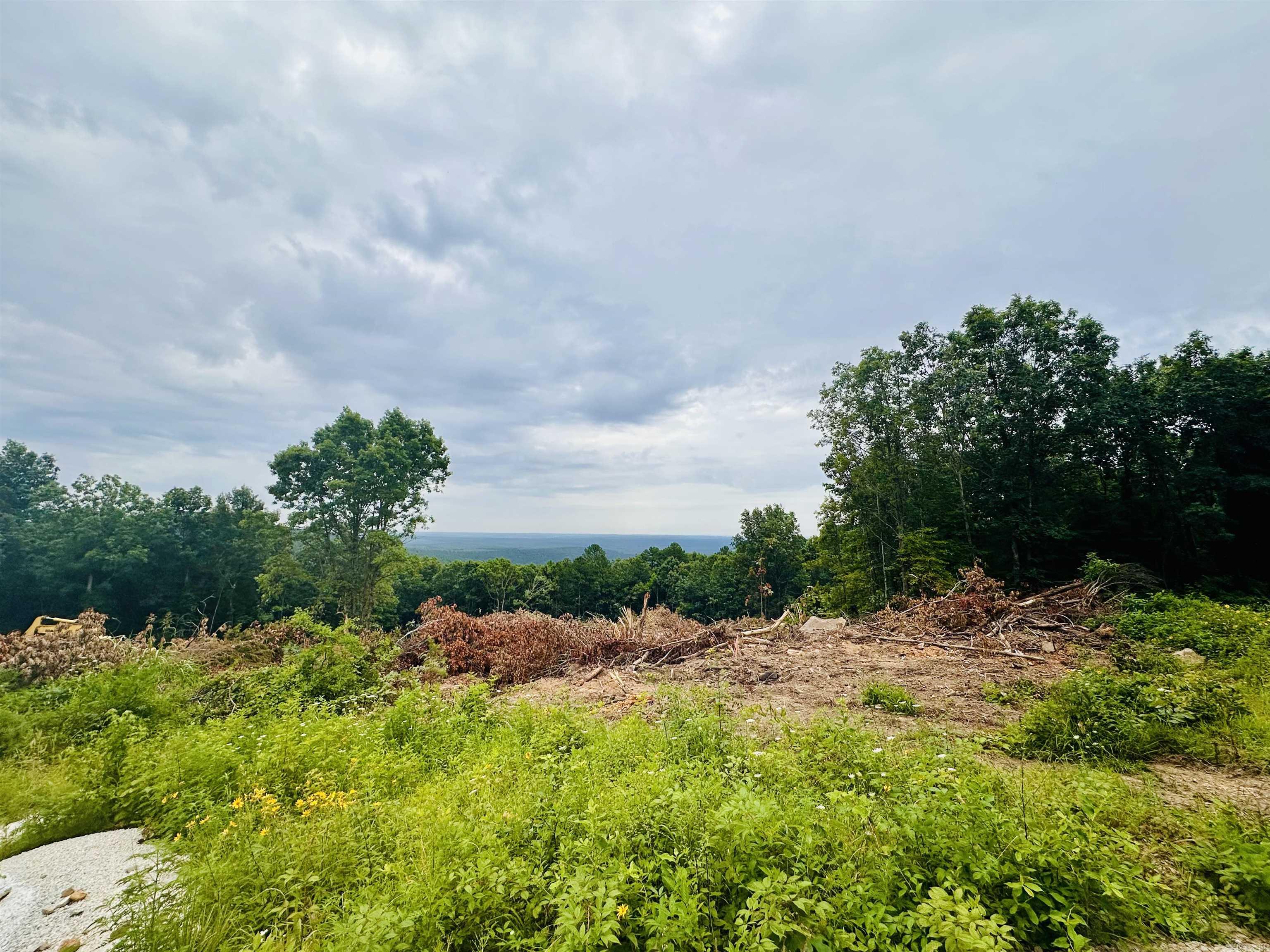 000 Dry Mountain  Drasco, AR