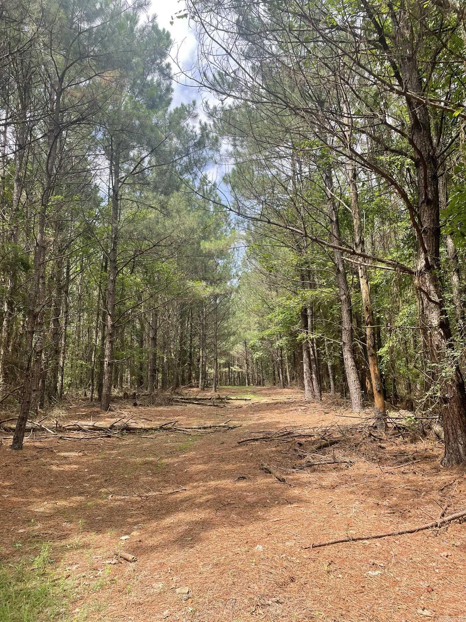 811 Polk Road 21  Cove, AR